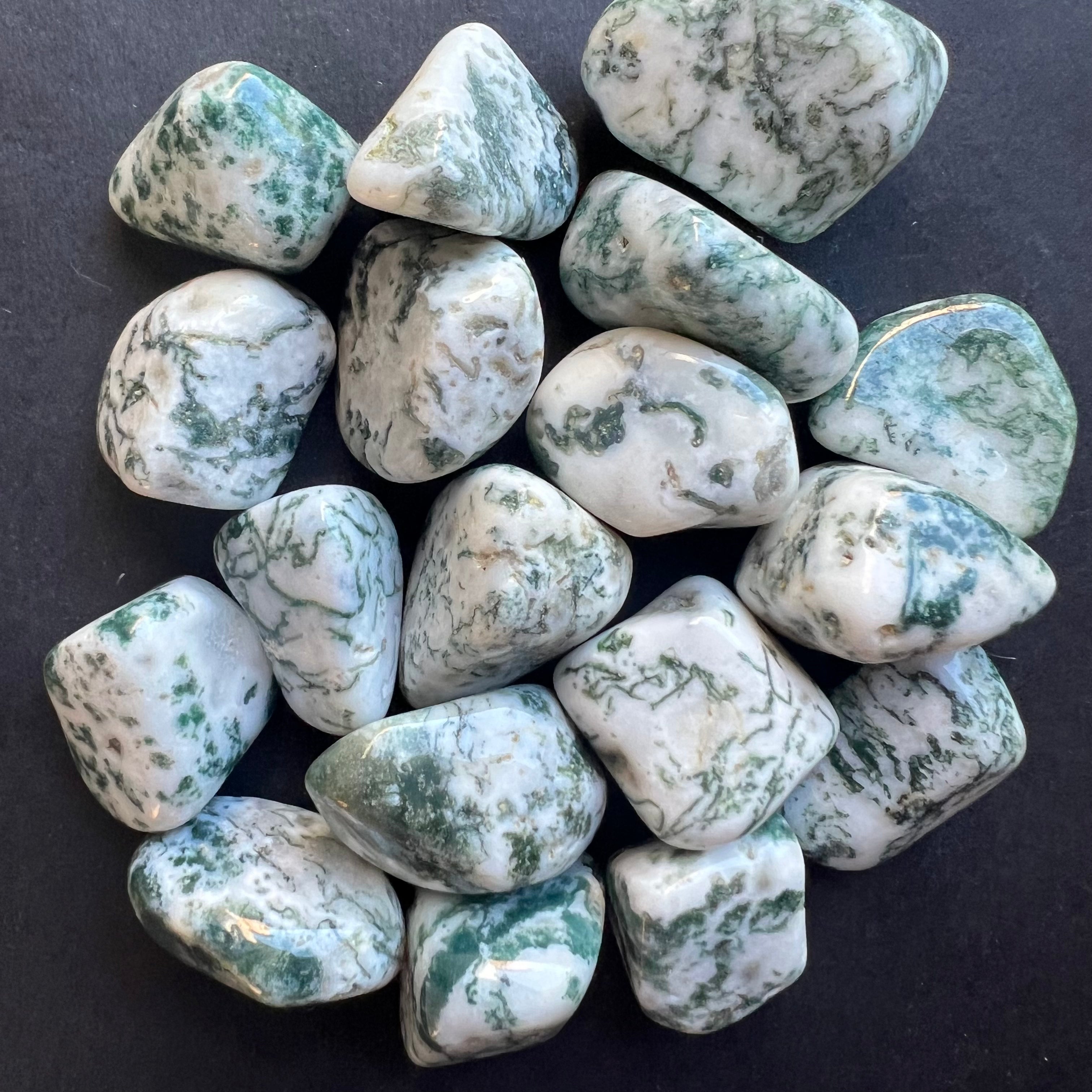 Agat copac piatra rulata mini