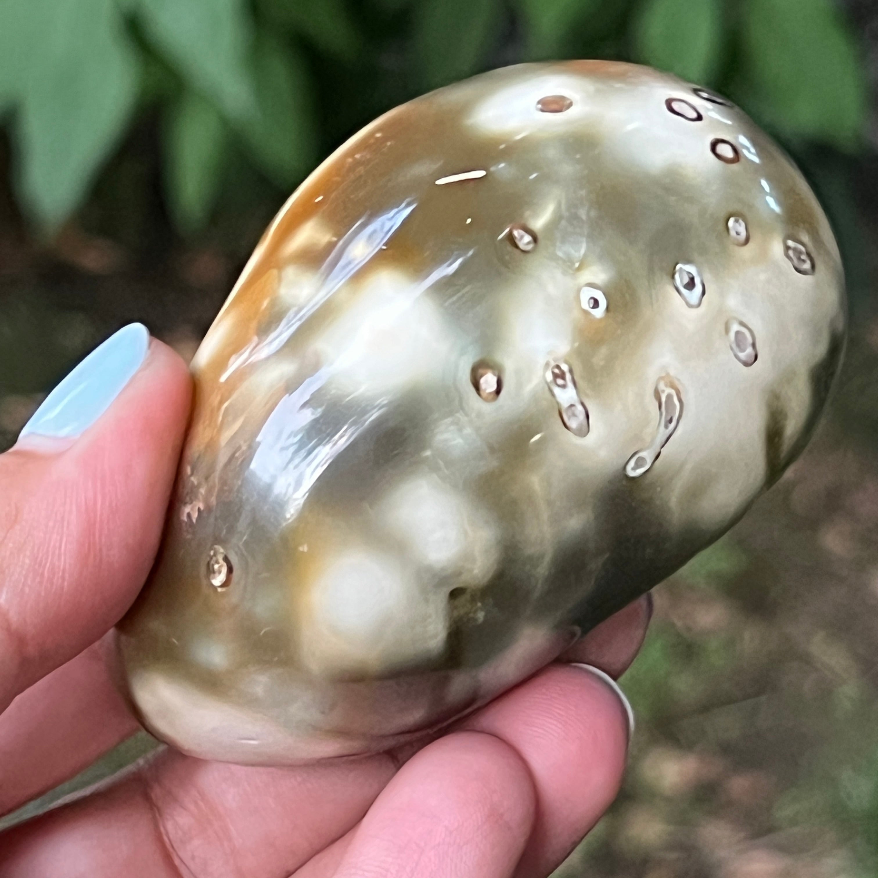 Agat Orca palmstone model 10