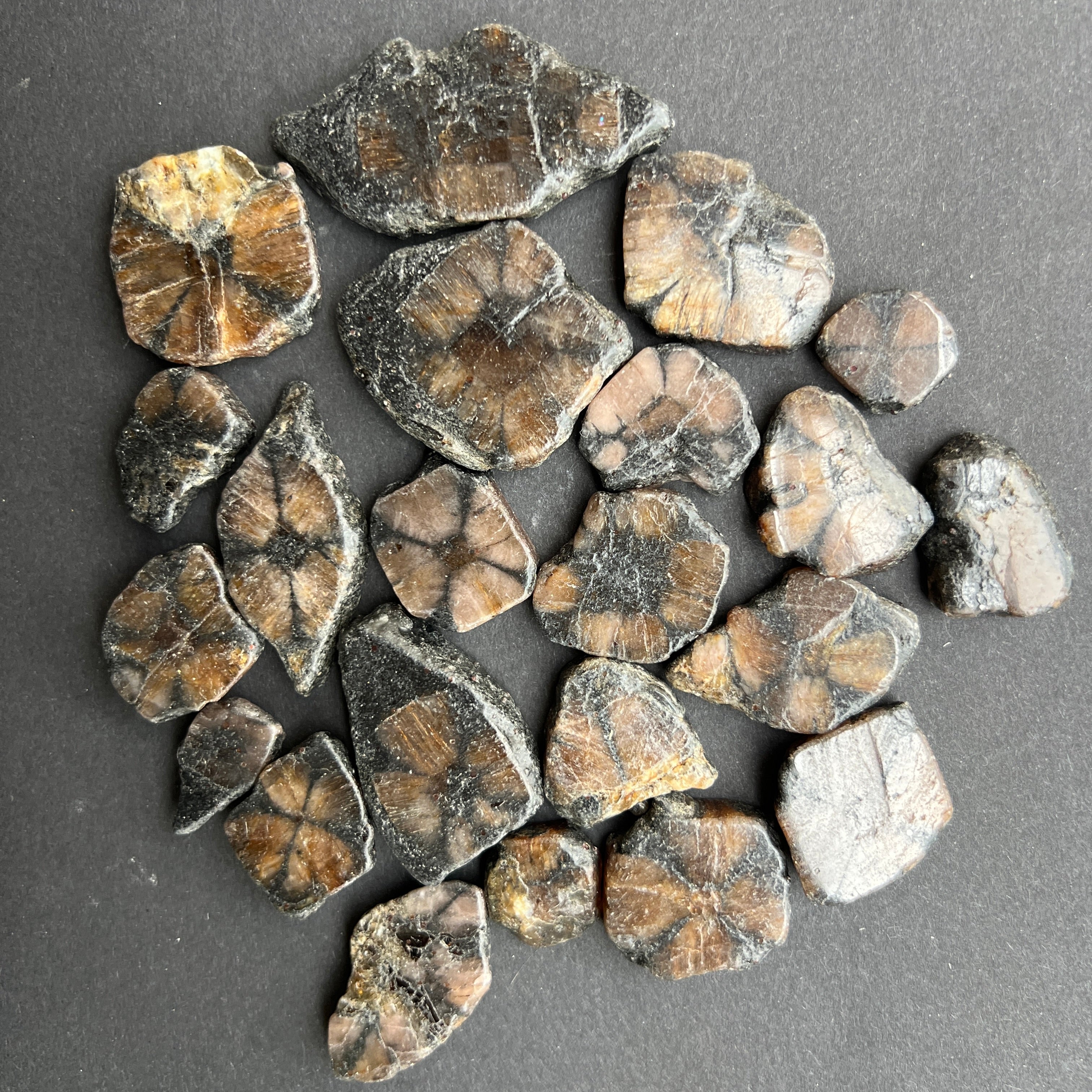 Andaluzit - Piatra Crucii -Chiastolit piatra rulata plata