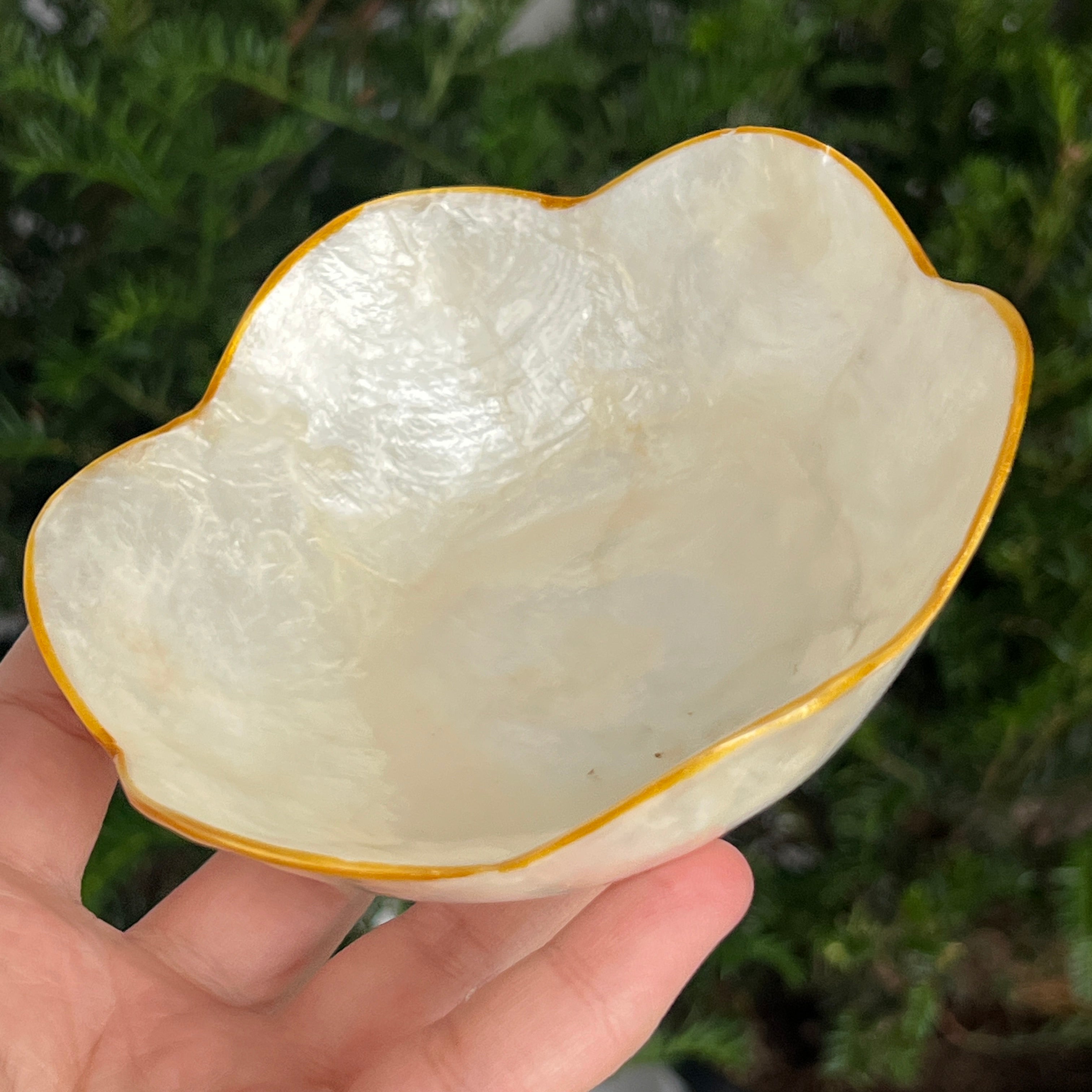 Bol scoica abalone | Flower