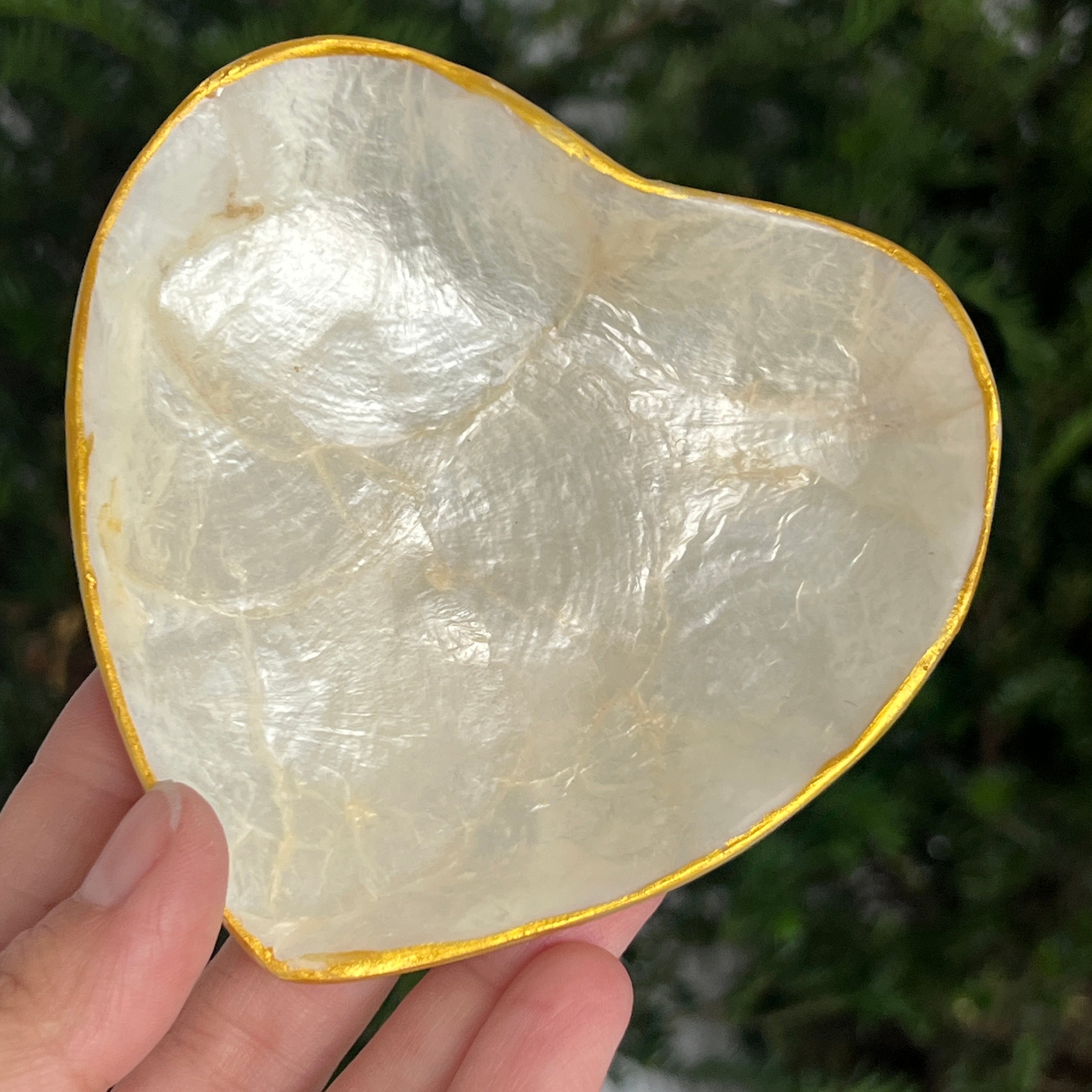 Bol scoica abalone | Inima