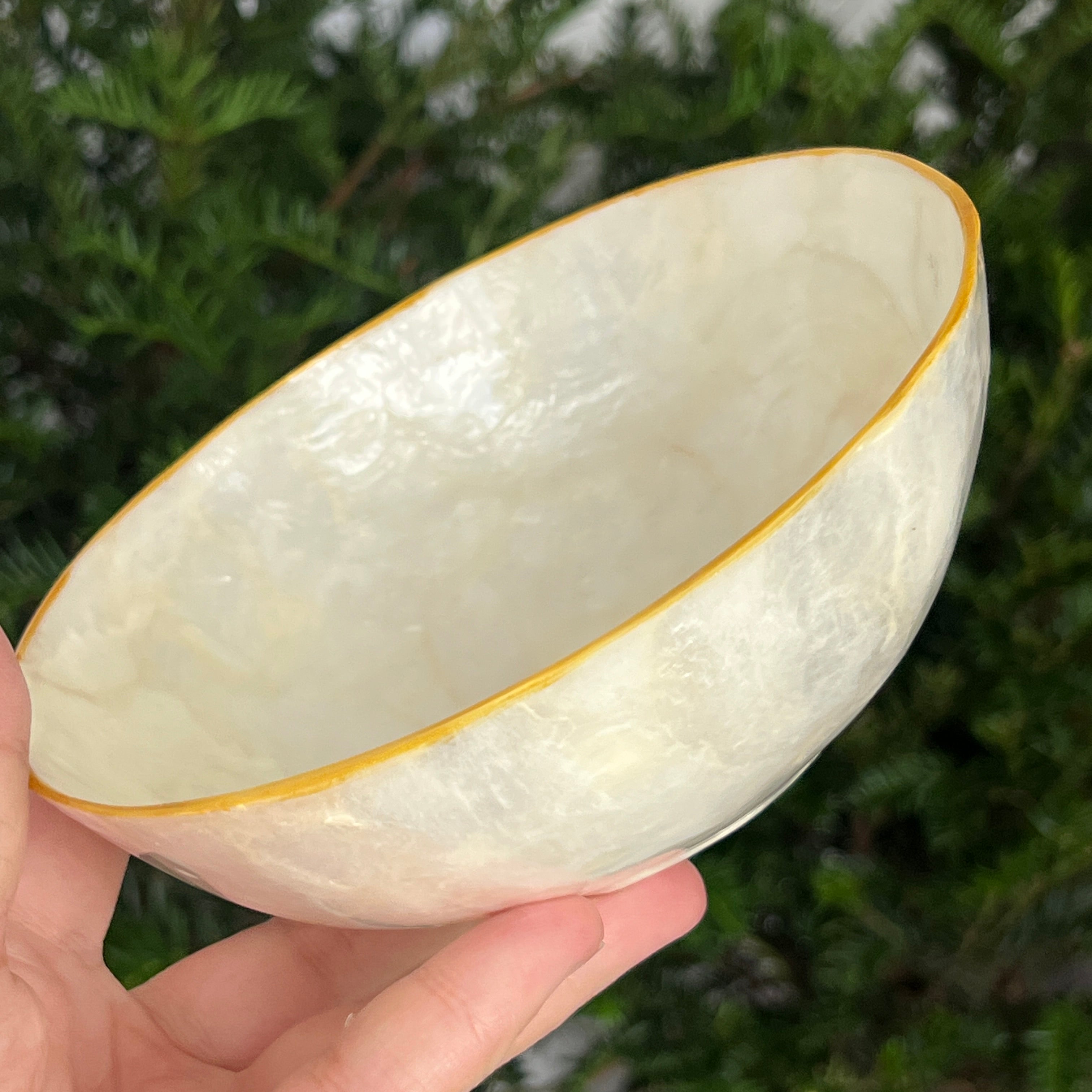 Bol scoica abalone | Round