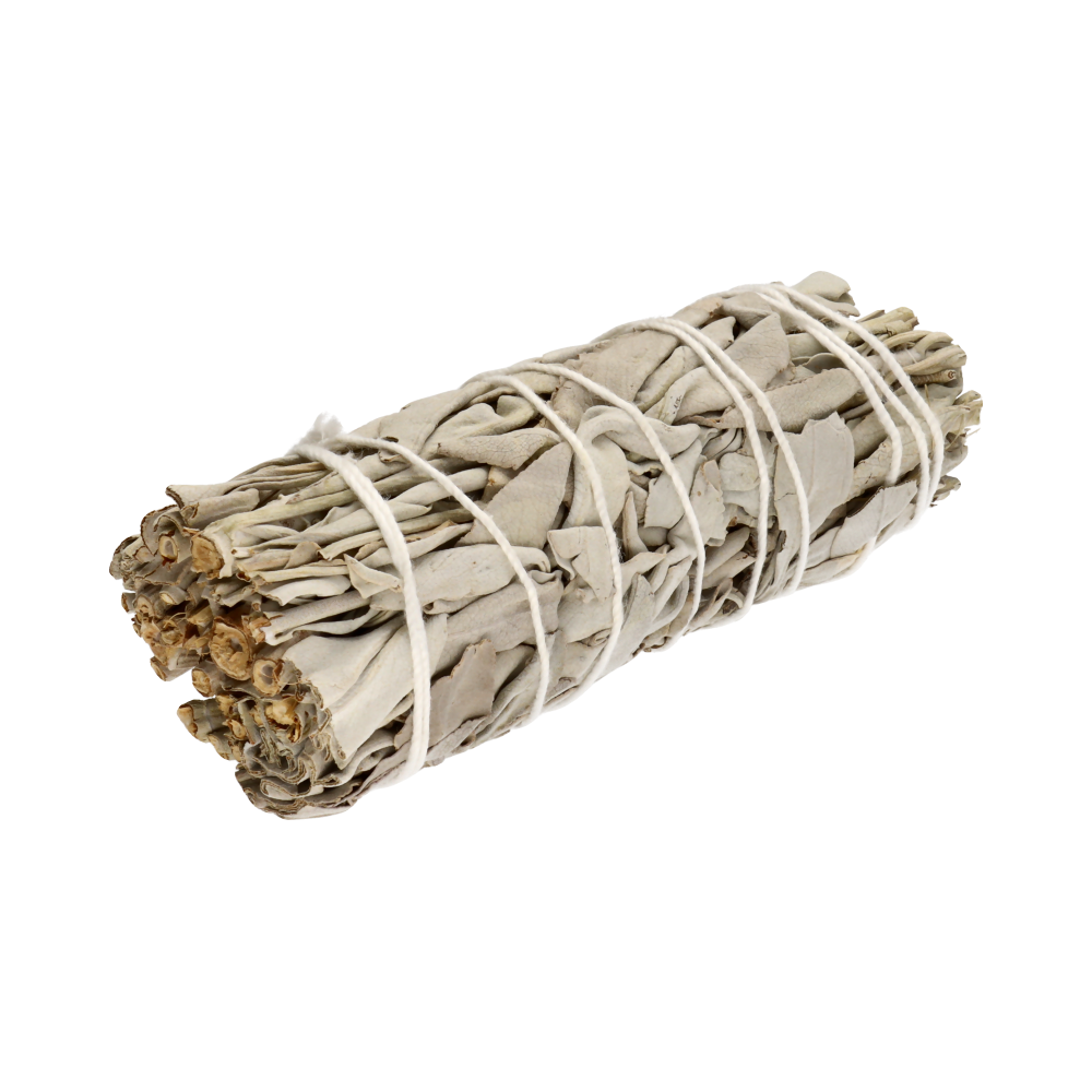 Buchet Salvie Alba 10-11 cm
