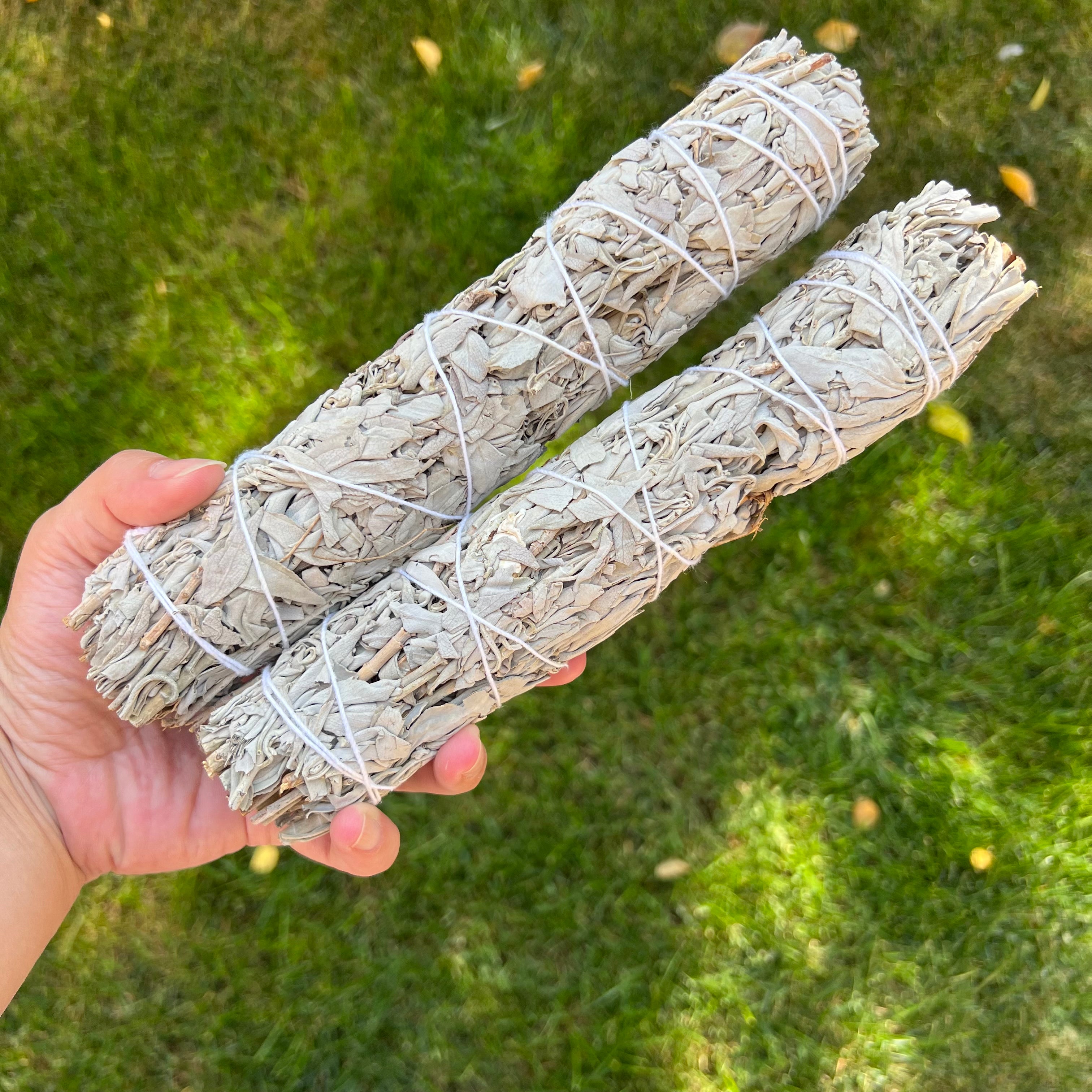 Buchet Salvie Alba 22cm