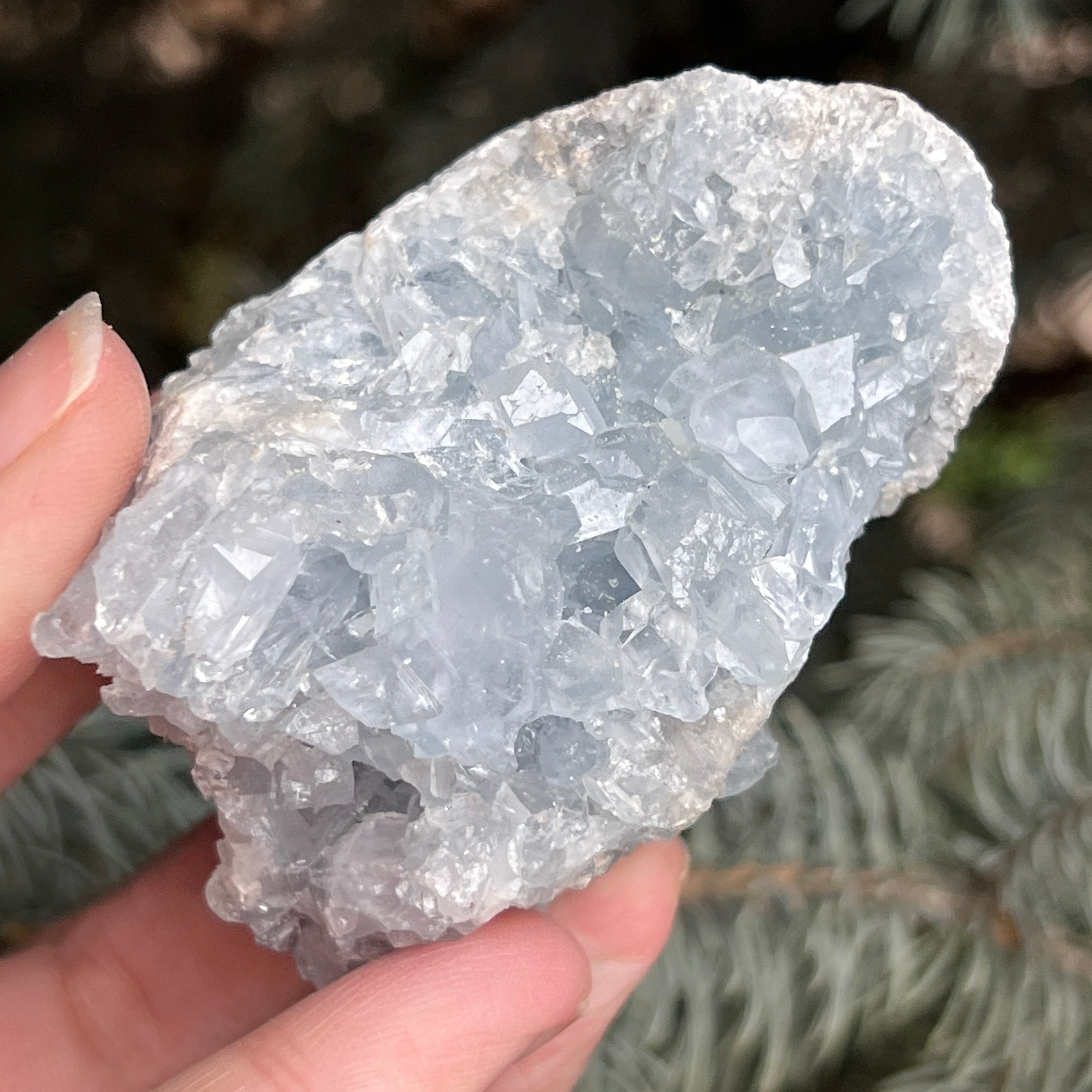 Celestit / celestina cluster m1