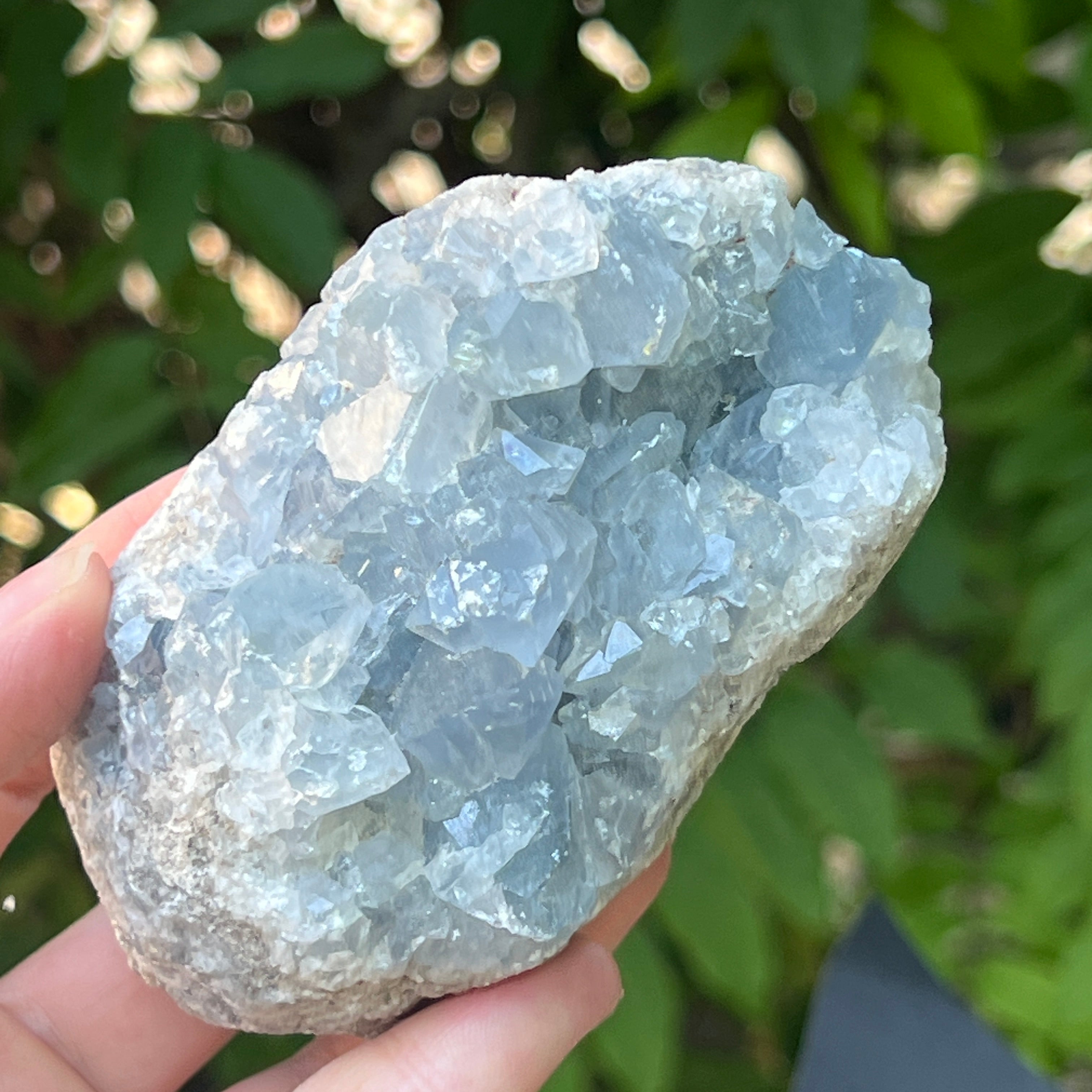 Celestit /celestina cluster m12