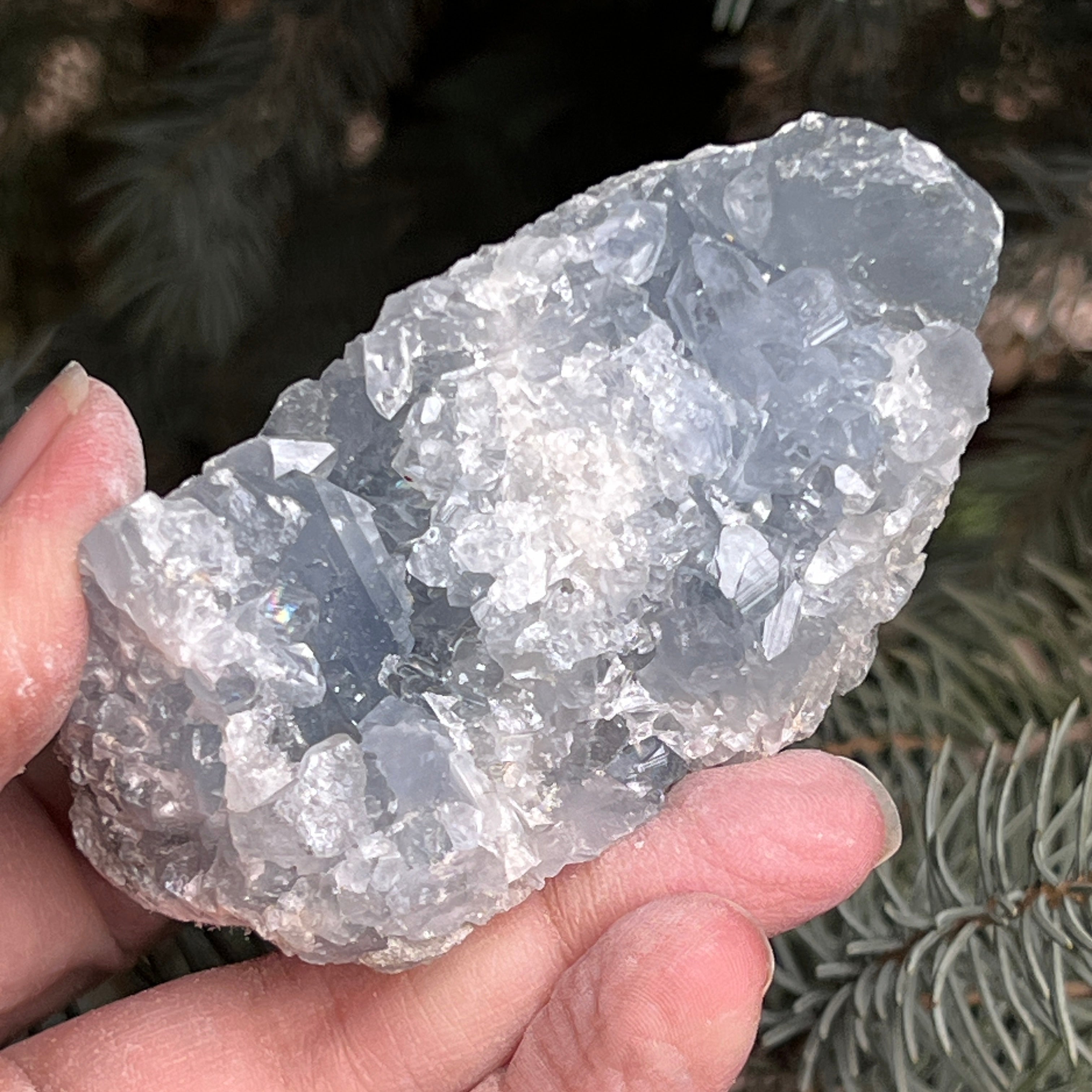 Celestit / celestina cluster m14