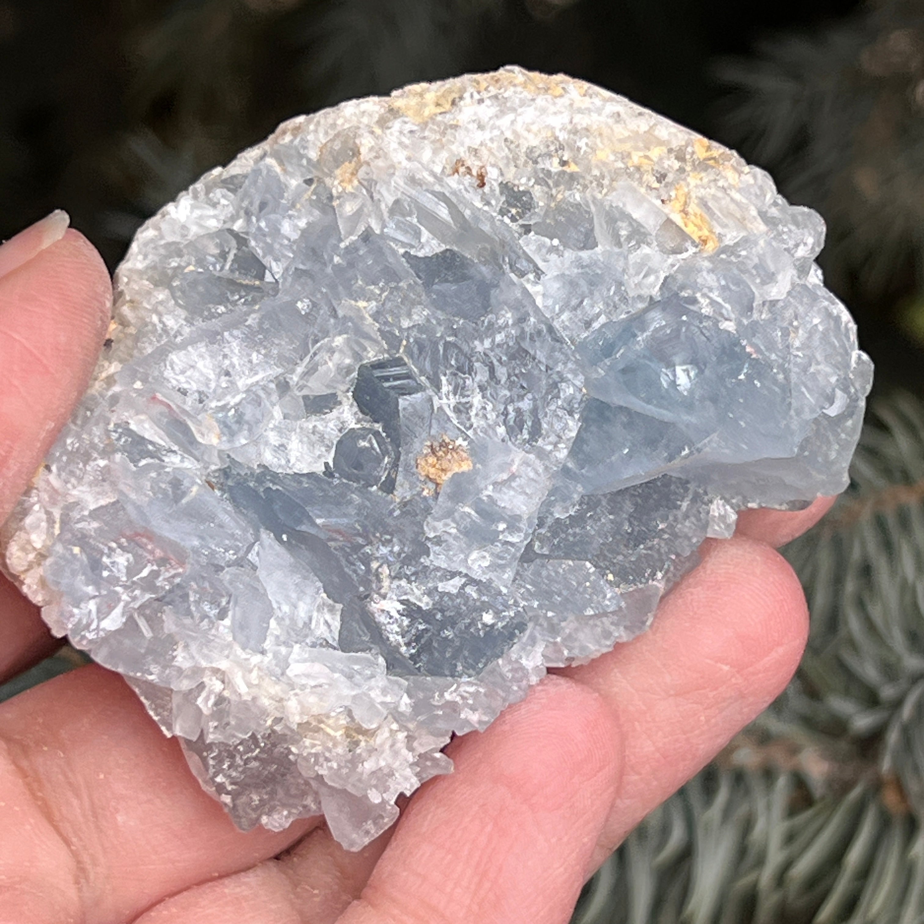 Celestit/ celestina cluster m3