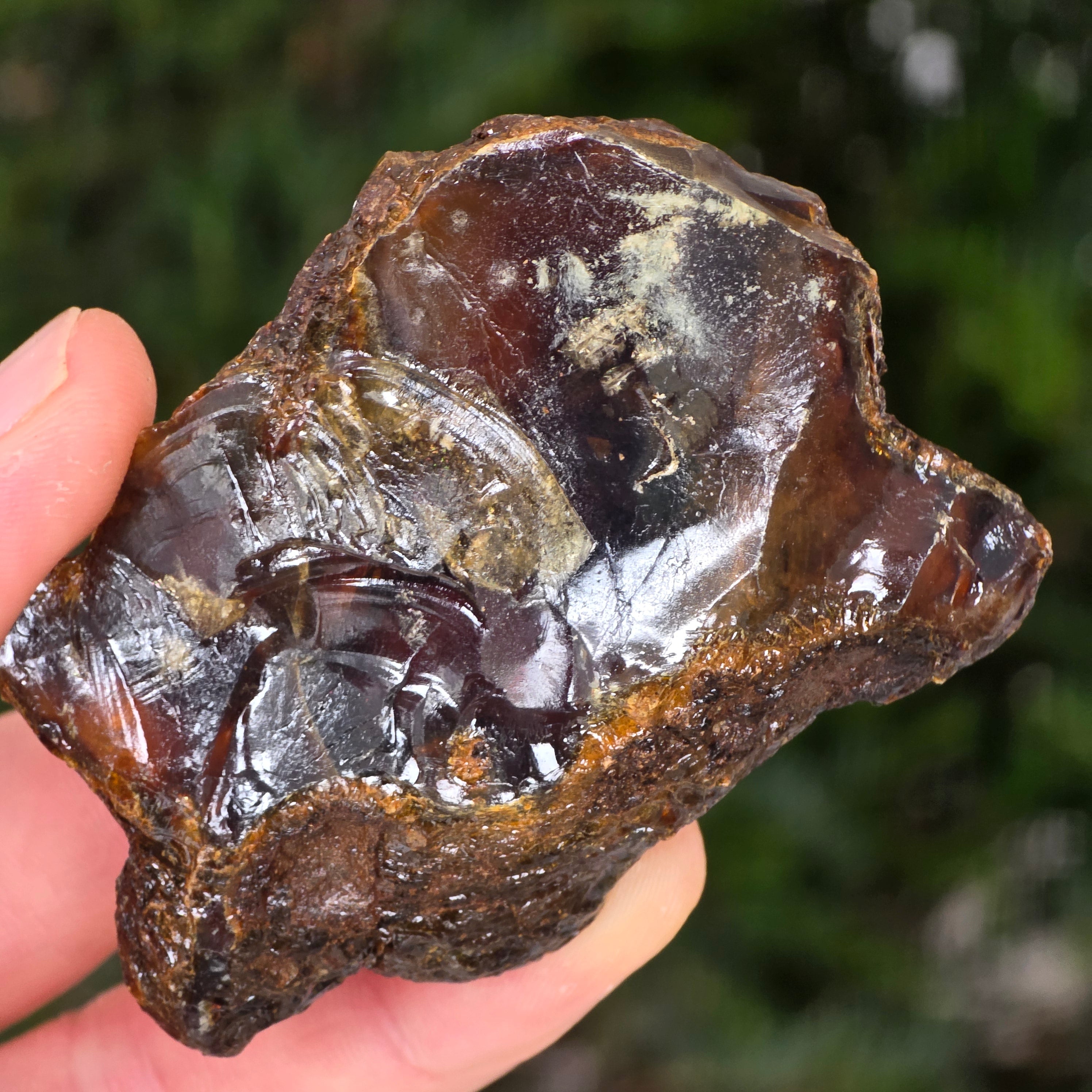 Chihlimbar fosil din Indonezia – Rășină naturală | Model 2