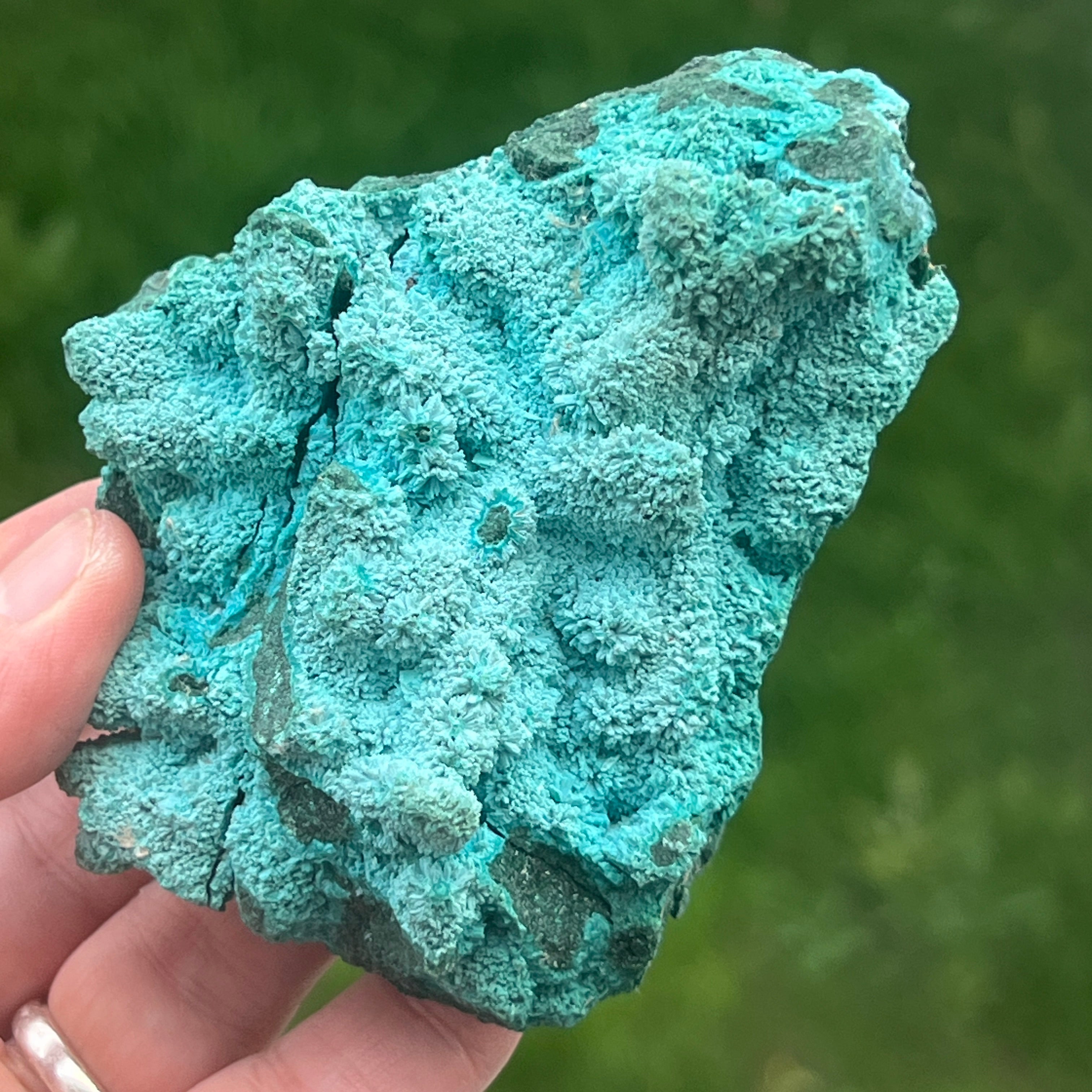 Cluster crisocola botrioidală din Congo | Model 10