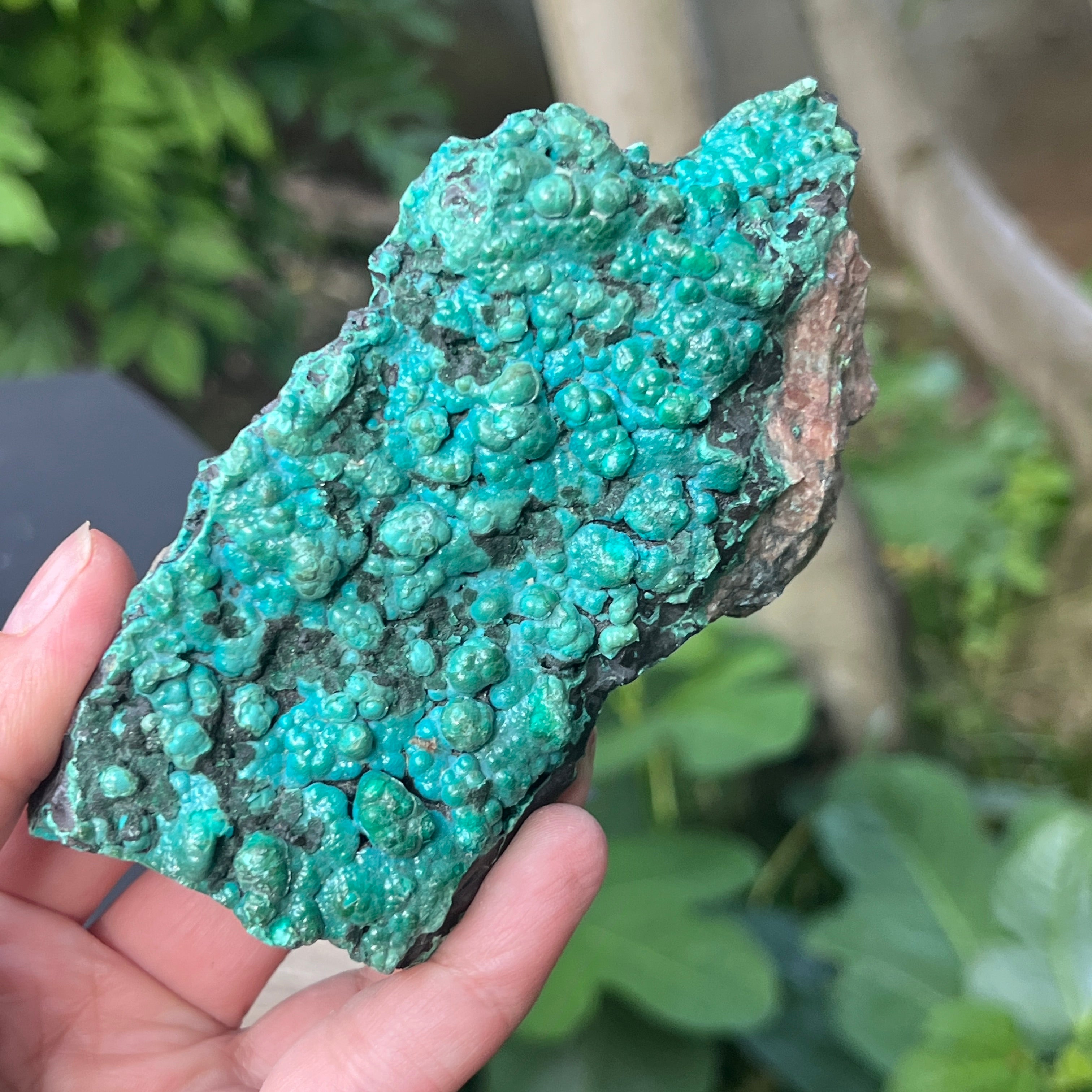 Cluster crisocola botrioidală model 4 din Congo