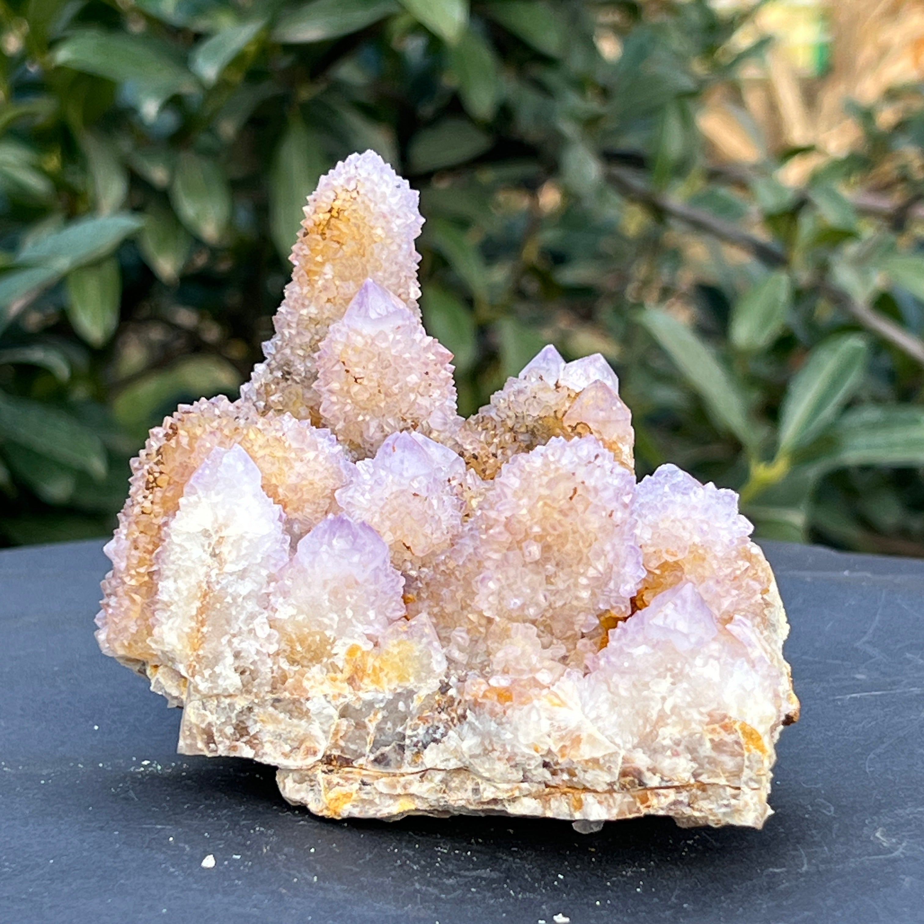 Cluster cuart cactus ametrin Africa de Sud model 102