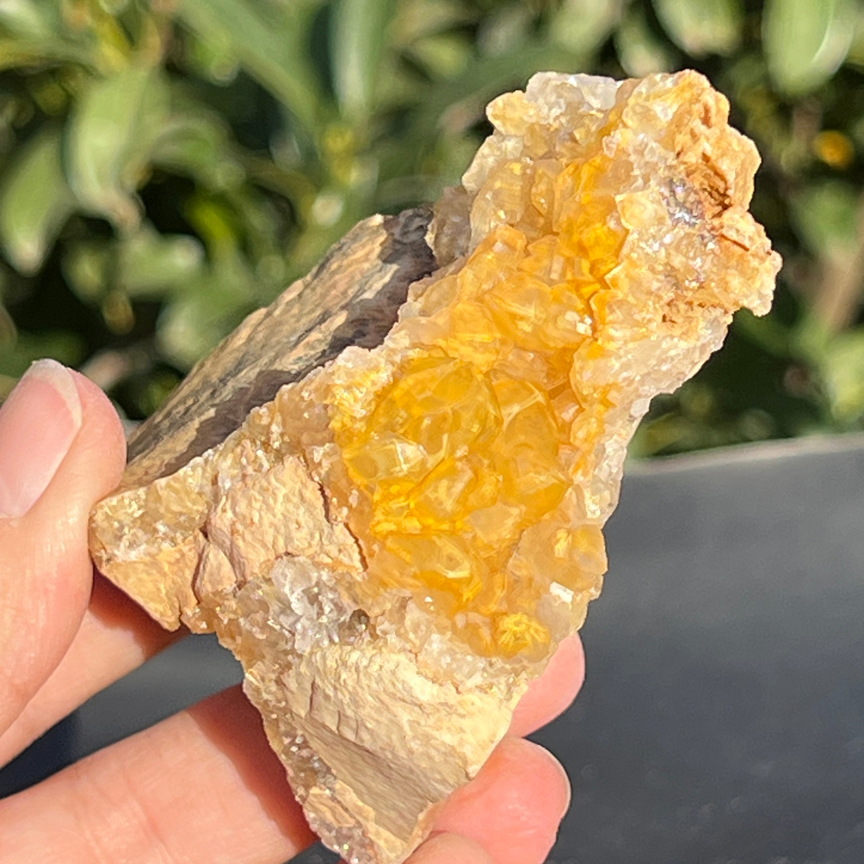 Cluster cuart lamaie Zambia, golden healer model 46