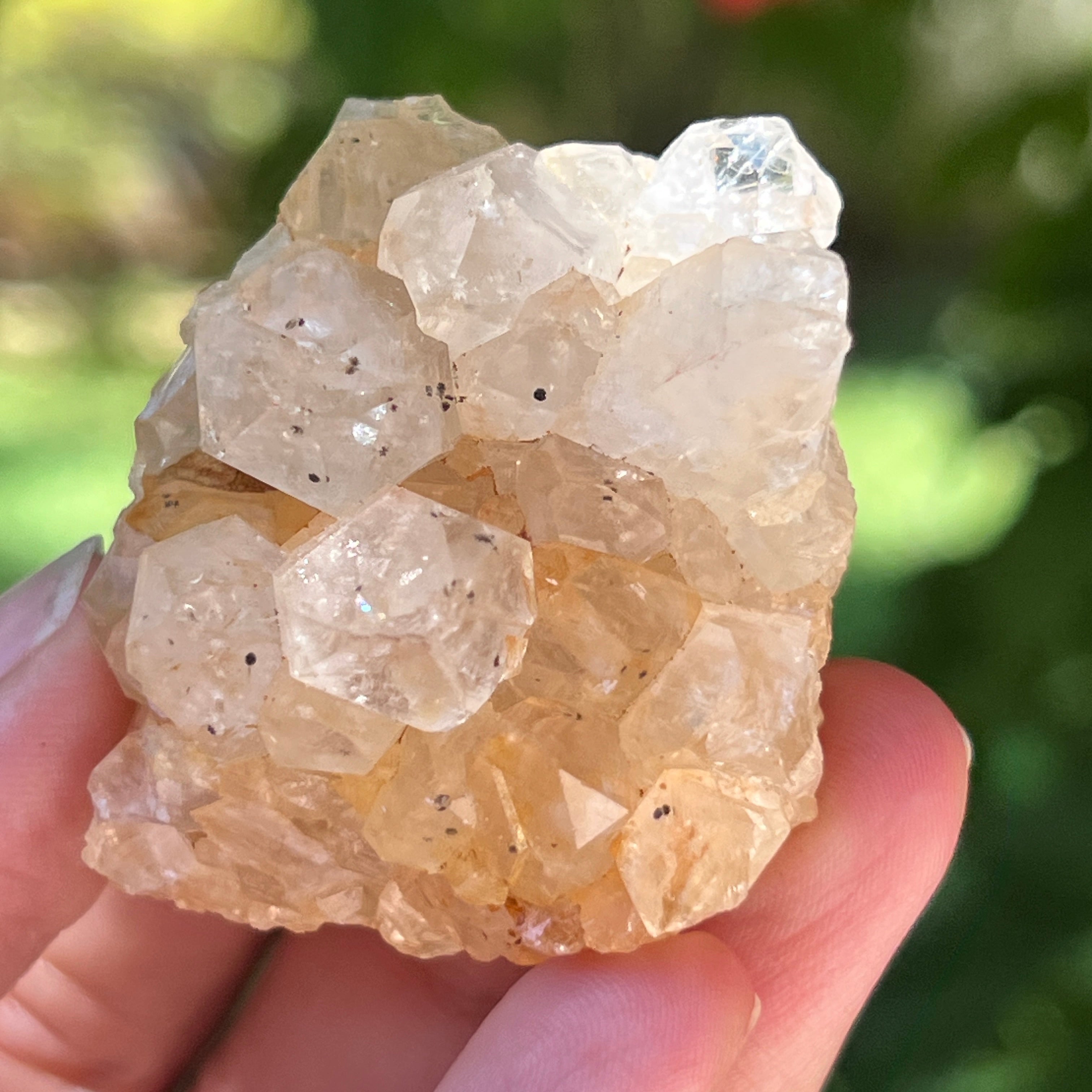 Cluster cuart lamaie Zambia, golden healer model 50
