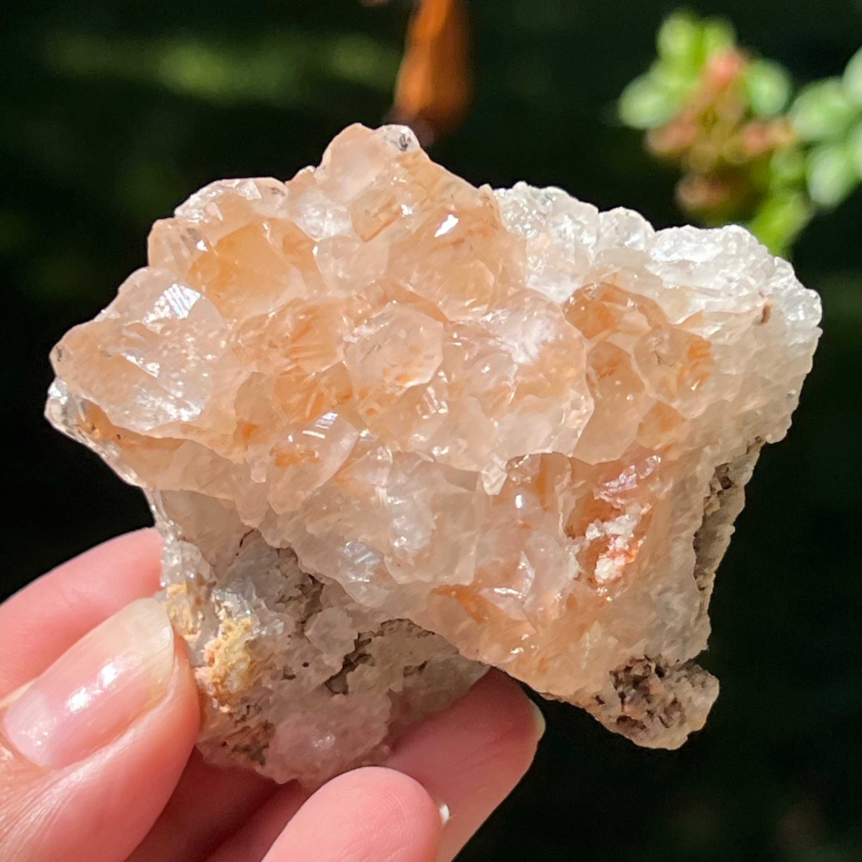 Cluster cuart lamaie Zambia, golden healer model Lm10