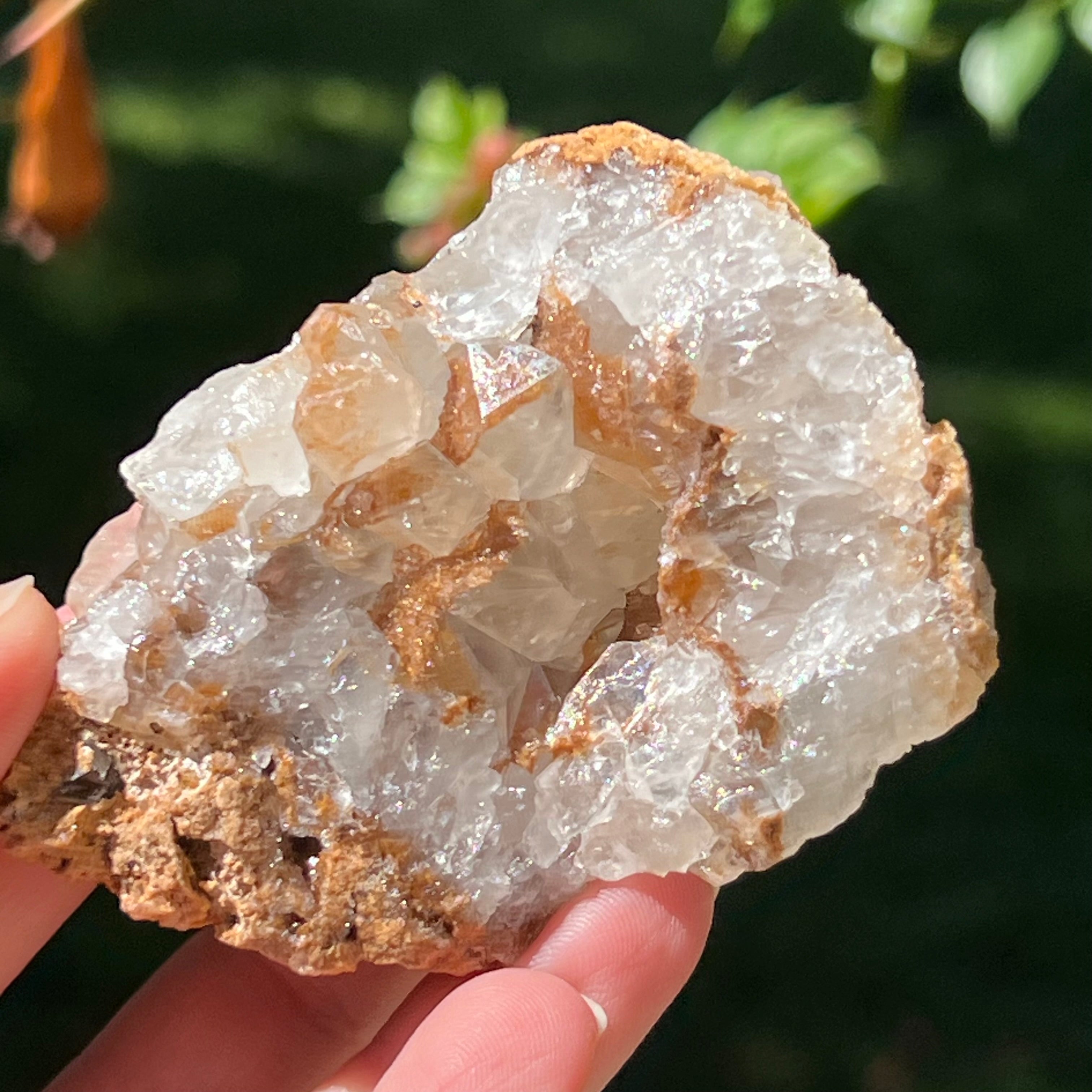 Cluster cuart lamaie Zambia, golden healer model Lm7
