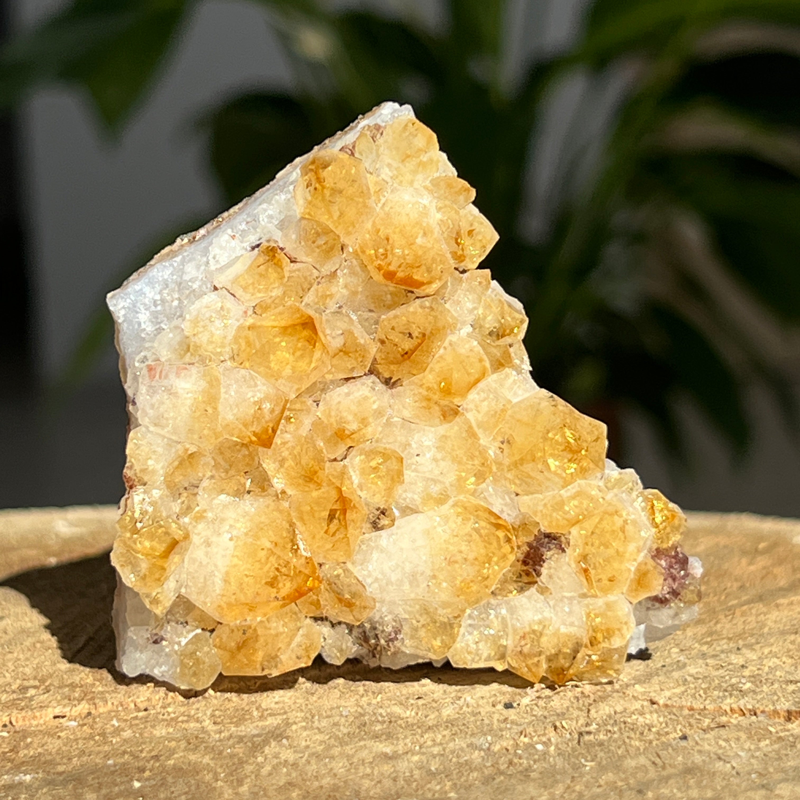Cluster de Citrin tratat termic| Model 16