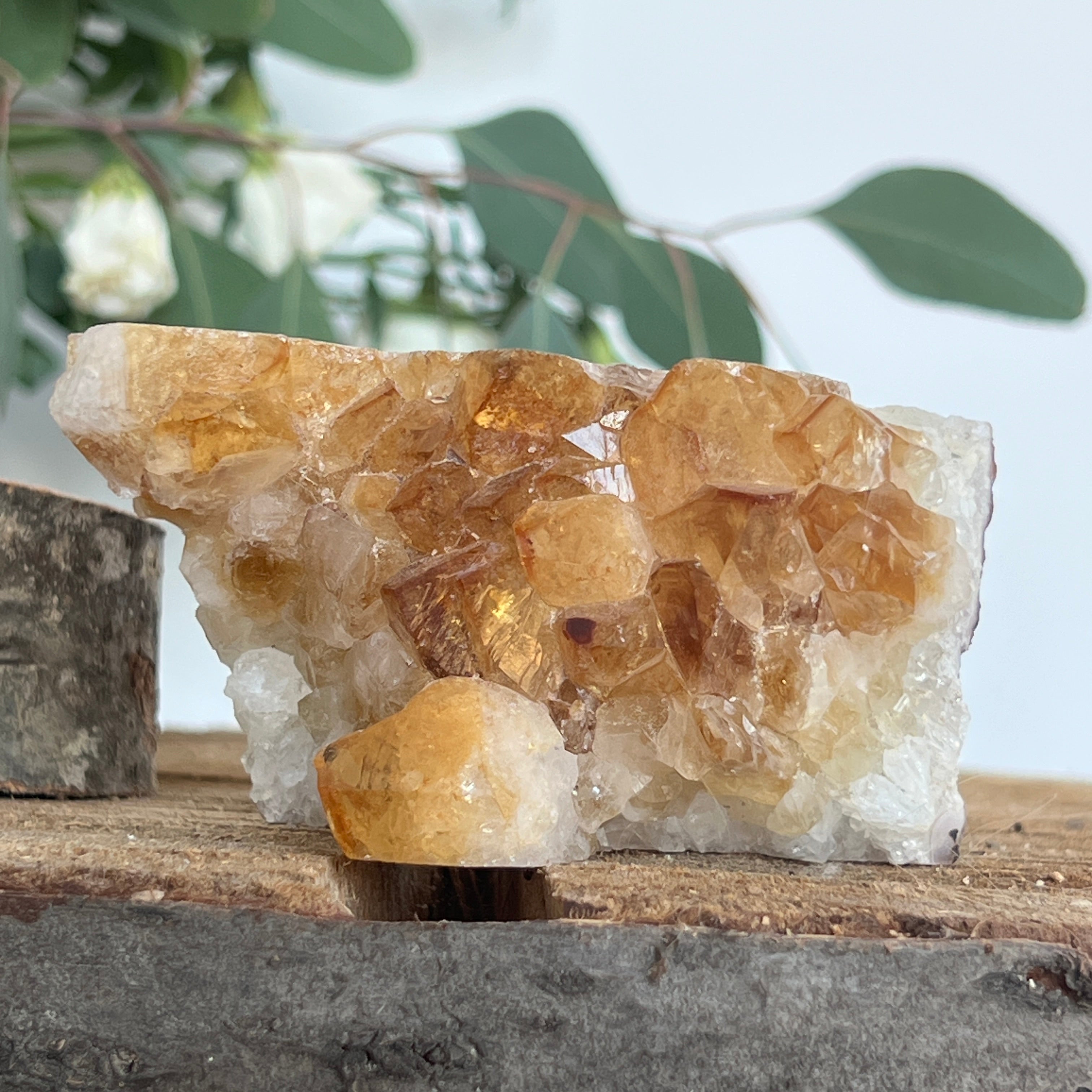 Cluster de Citrin tratat termic| Model 4