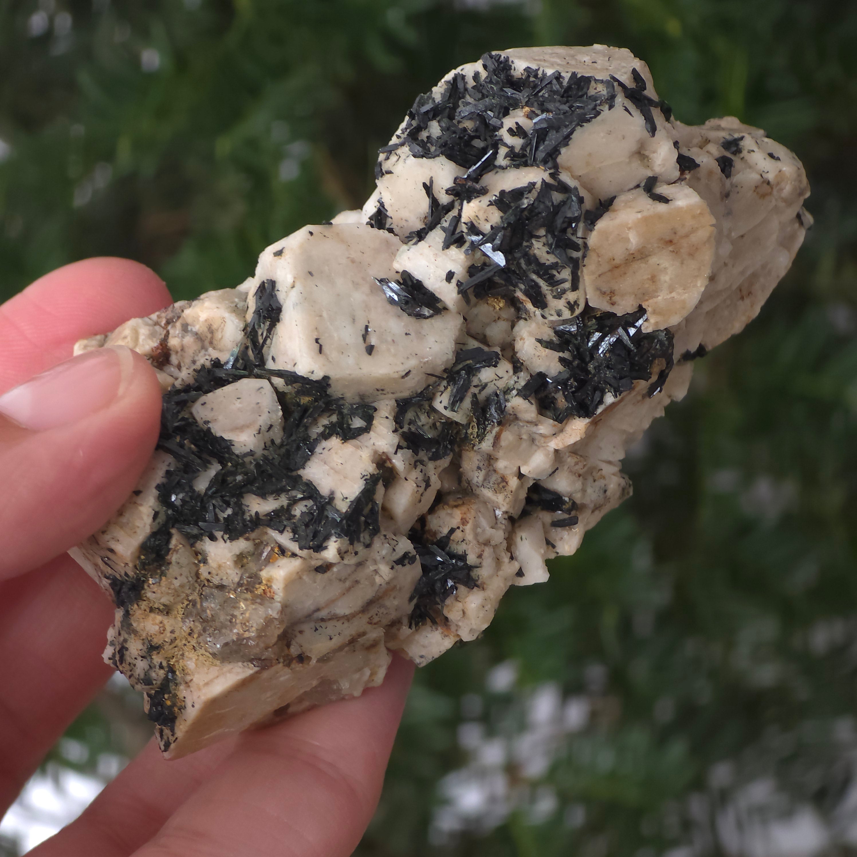 Cluster egirin cuart fumuriu/negru Zomba | Model 23