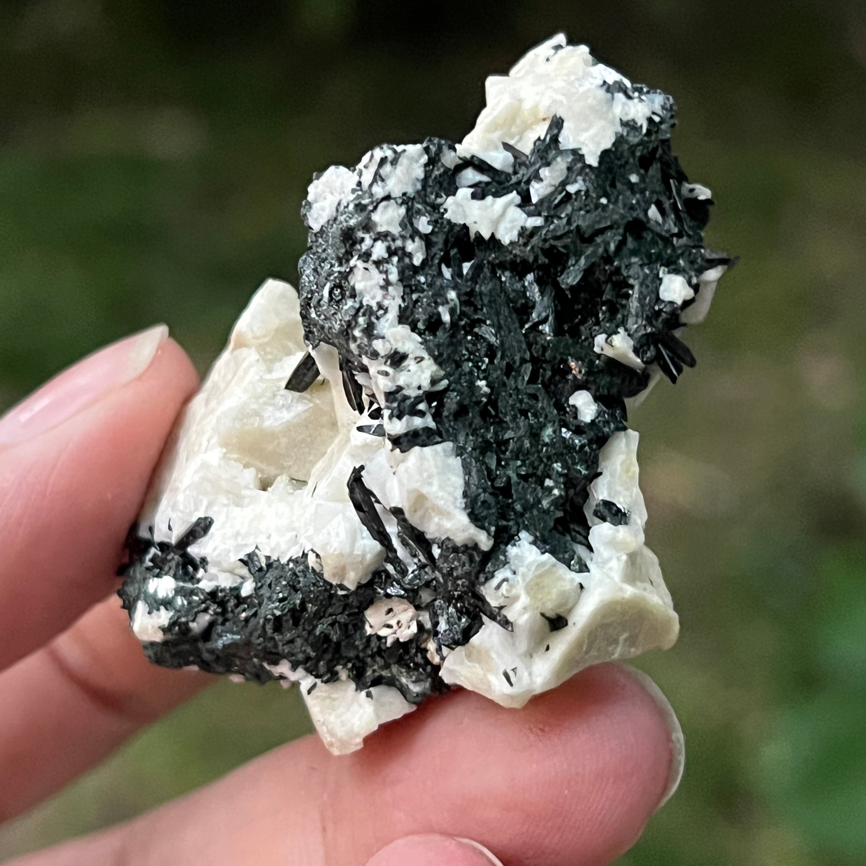 Cluster egirin mini cuart fumuriu/negru Zomba m11