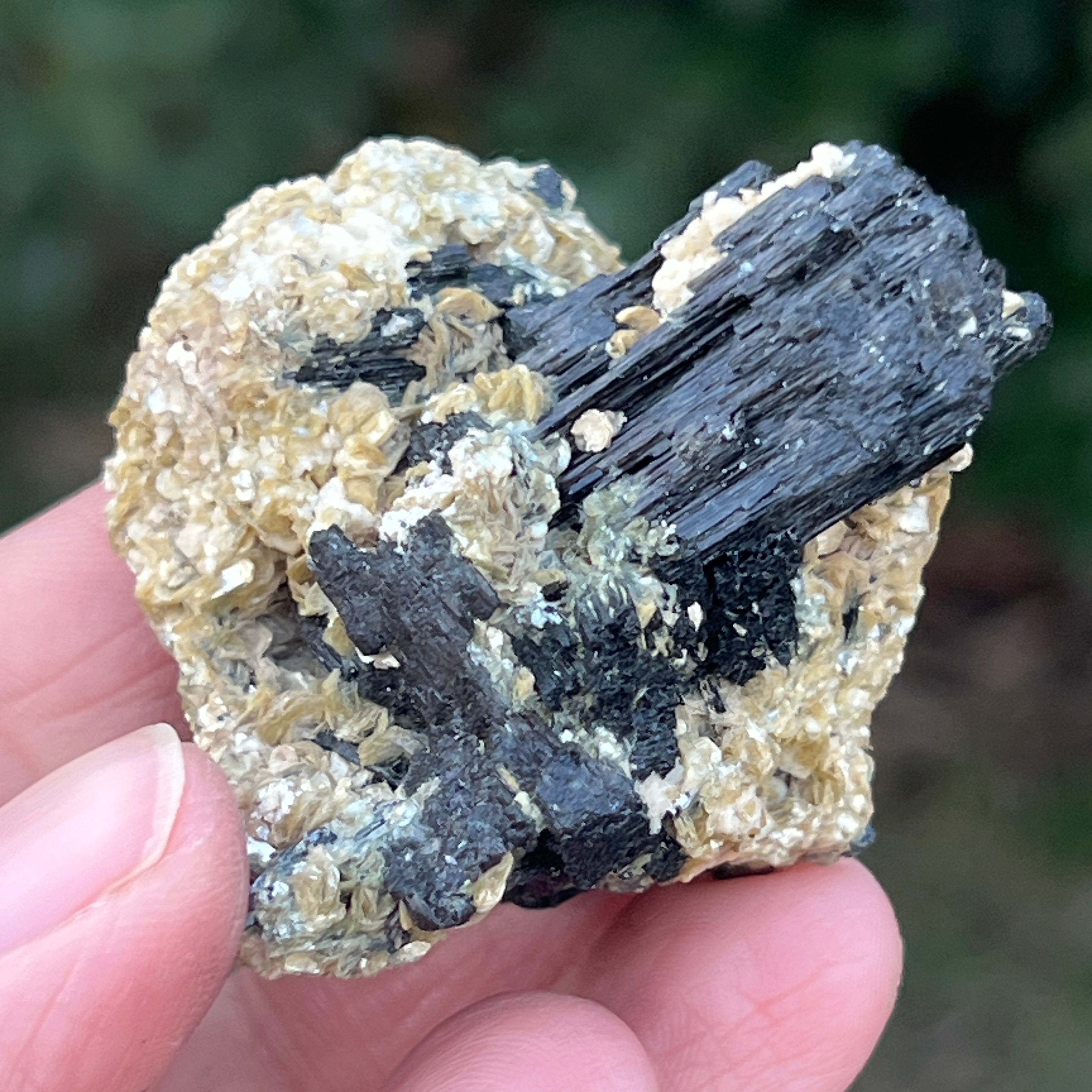 Cluster turmalina neagra cu vermiculita din Erongo m1