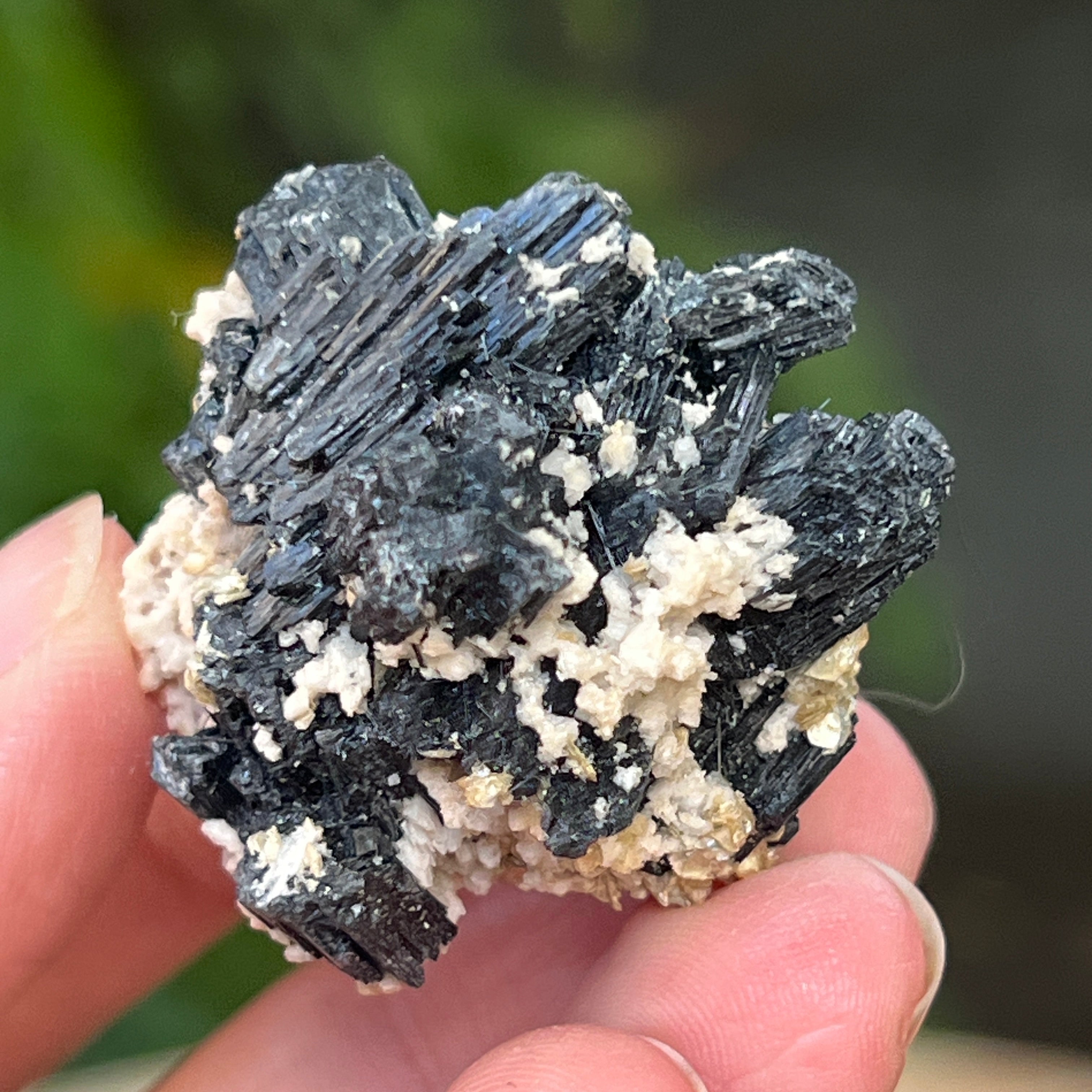 Cluster turmalina neagra cu vermiculita din Erongo m16