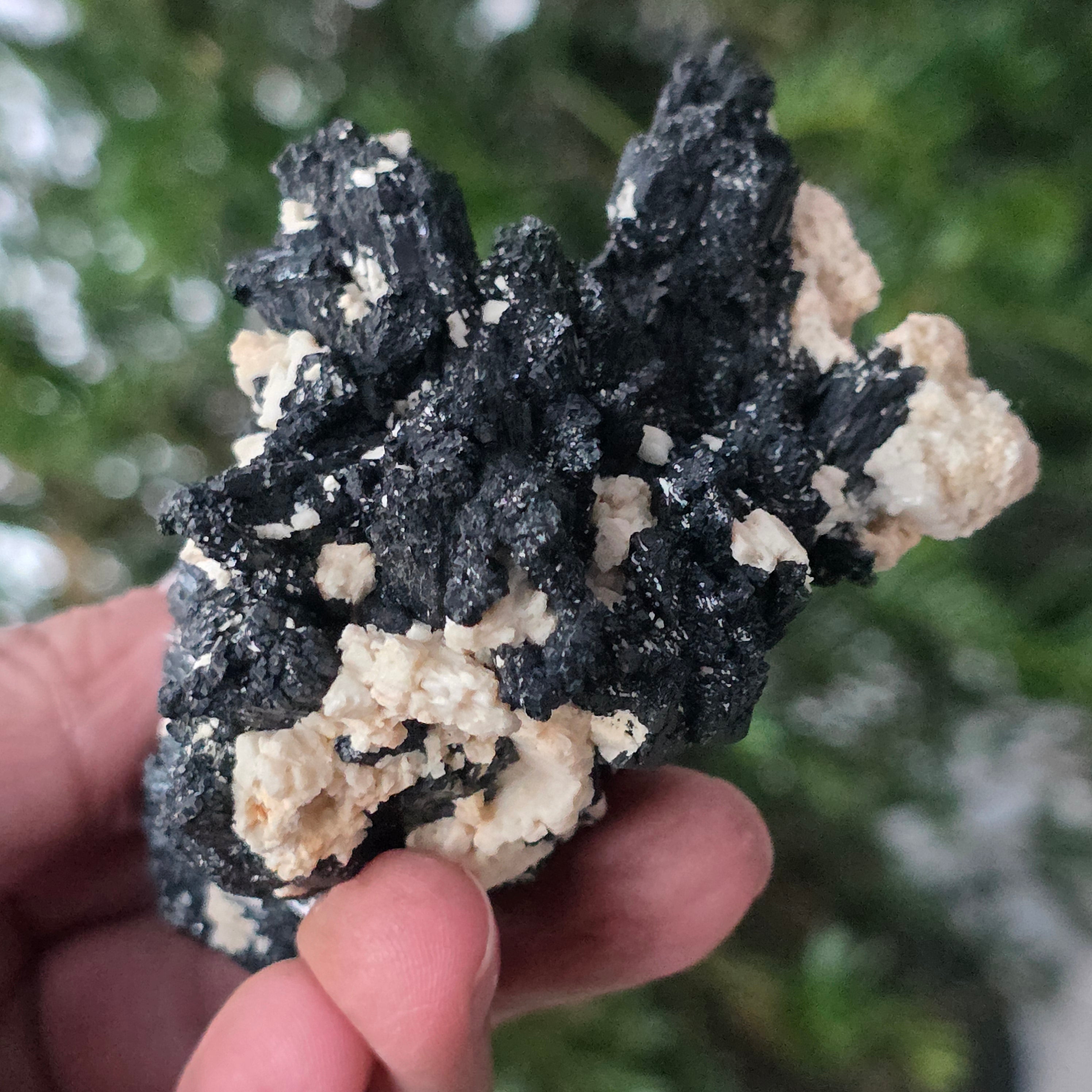 Cluster turmalina neagra cu vermiculita din Erongo m17