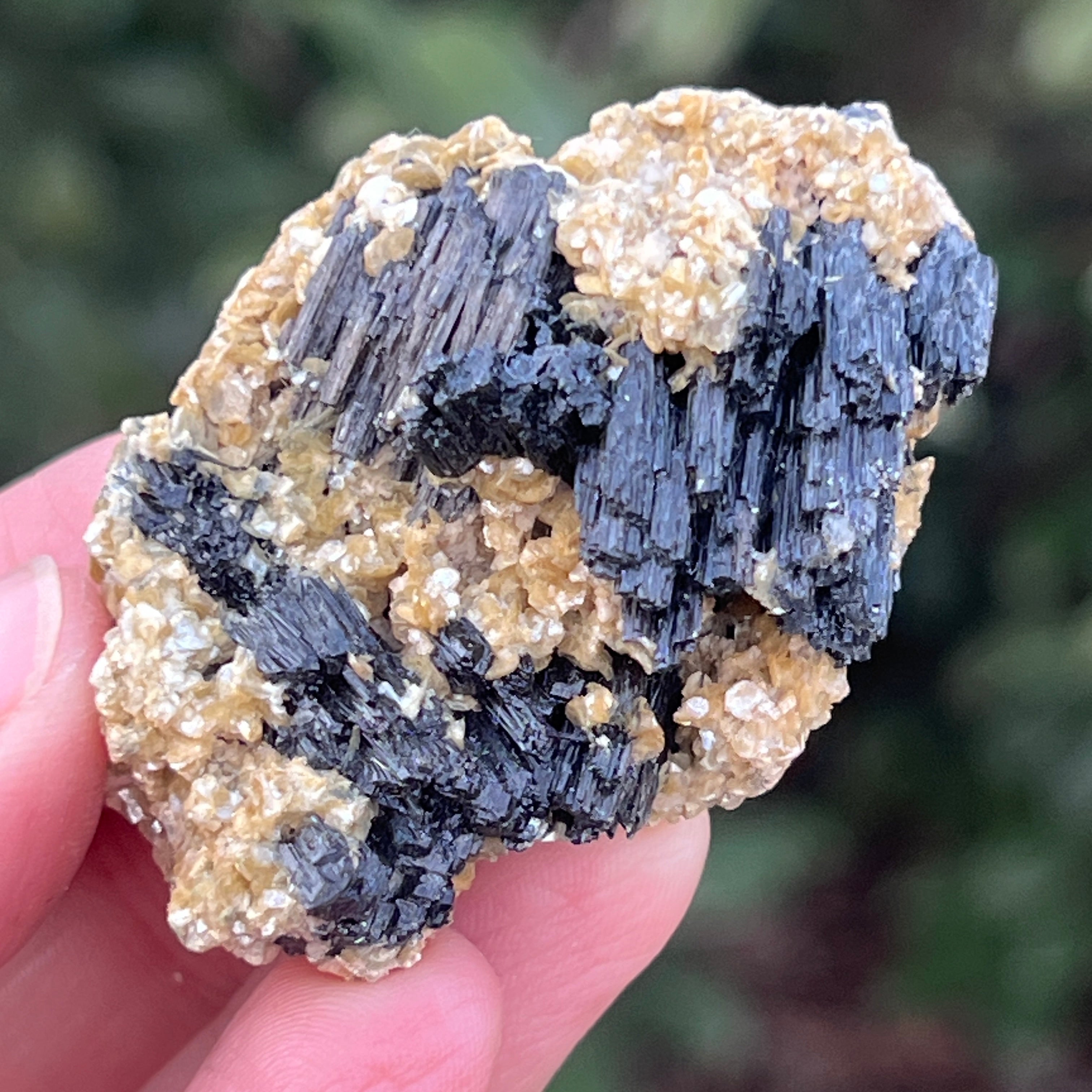Cluster turmalina neagra cu vermiculita din Erongo m19