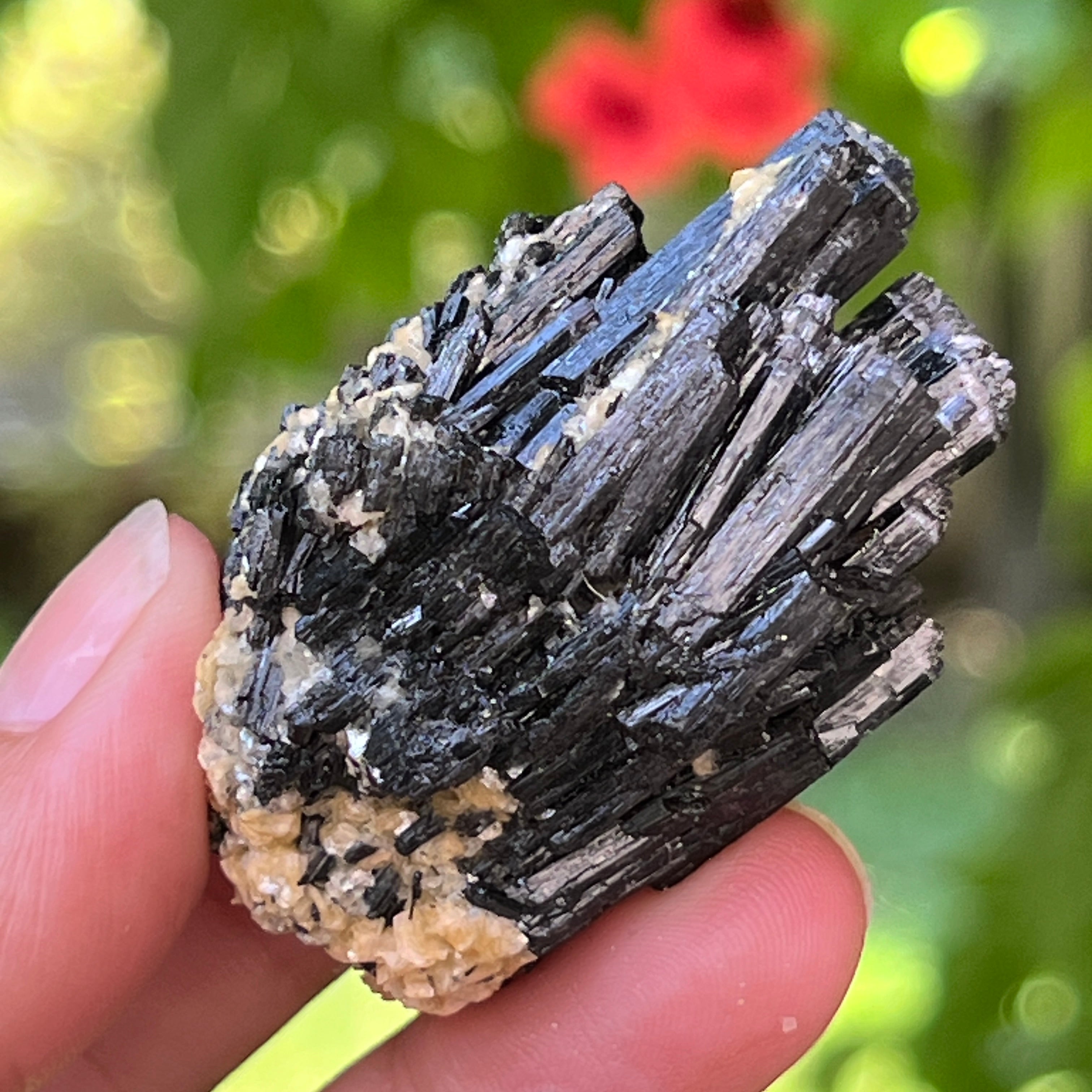 Cluster turmalina neagra cu vermiculita din Erongo m23