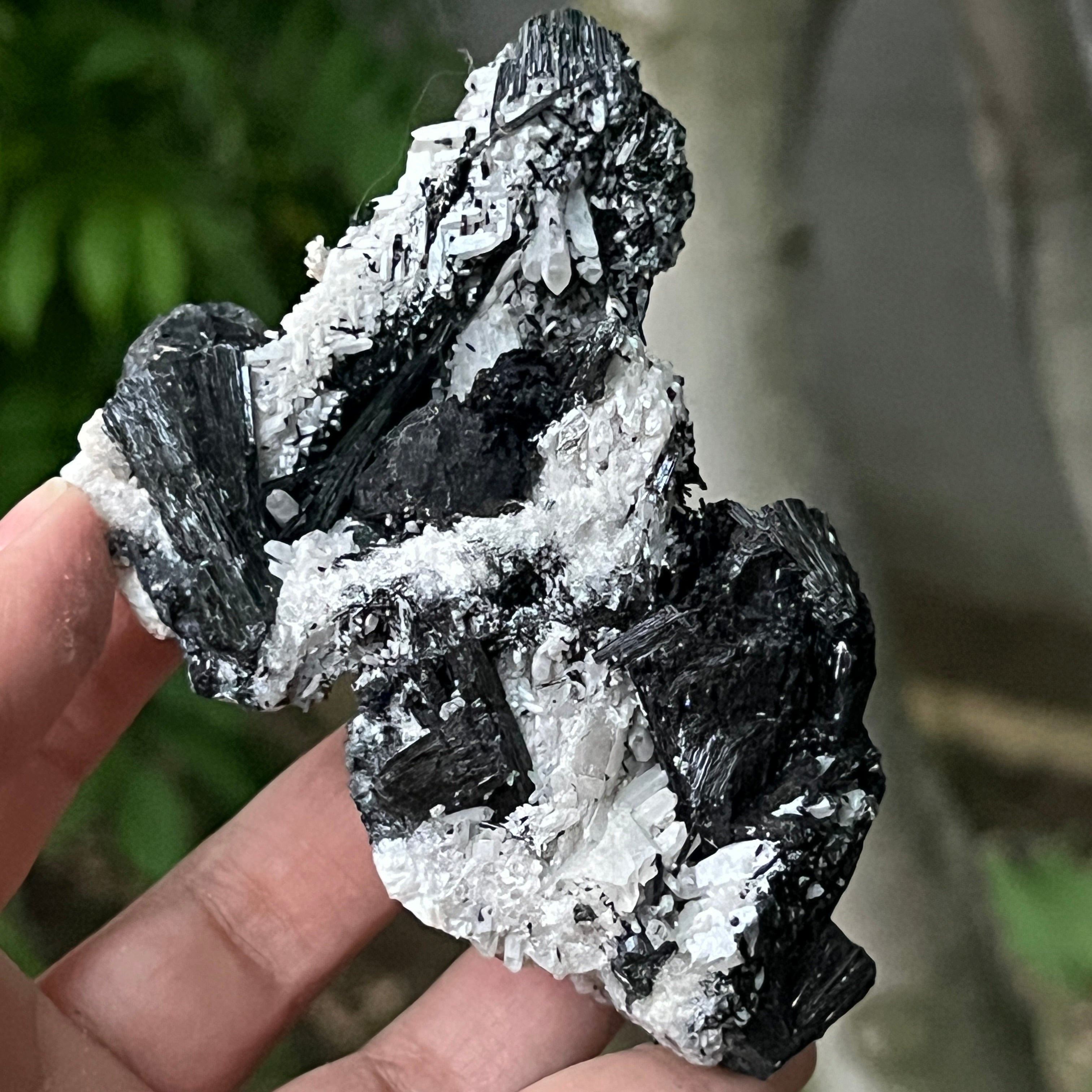 Cluster turmalina neagra model 11 din Erongo, Namibia