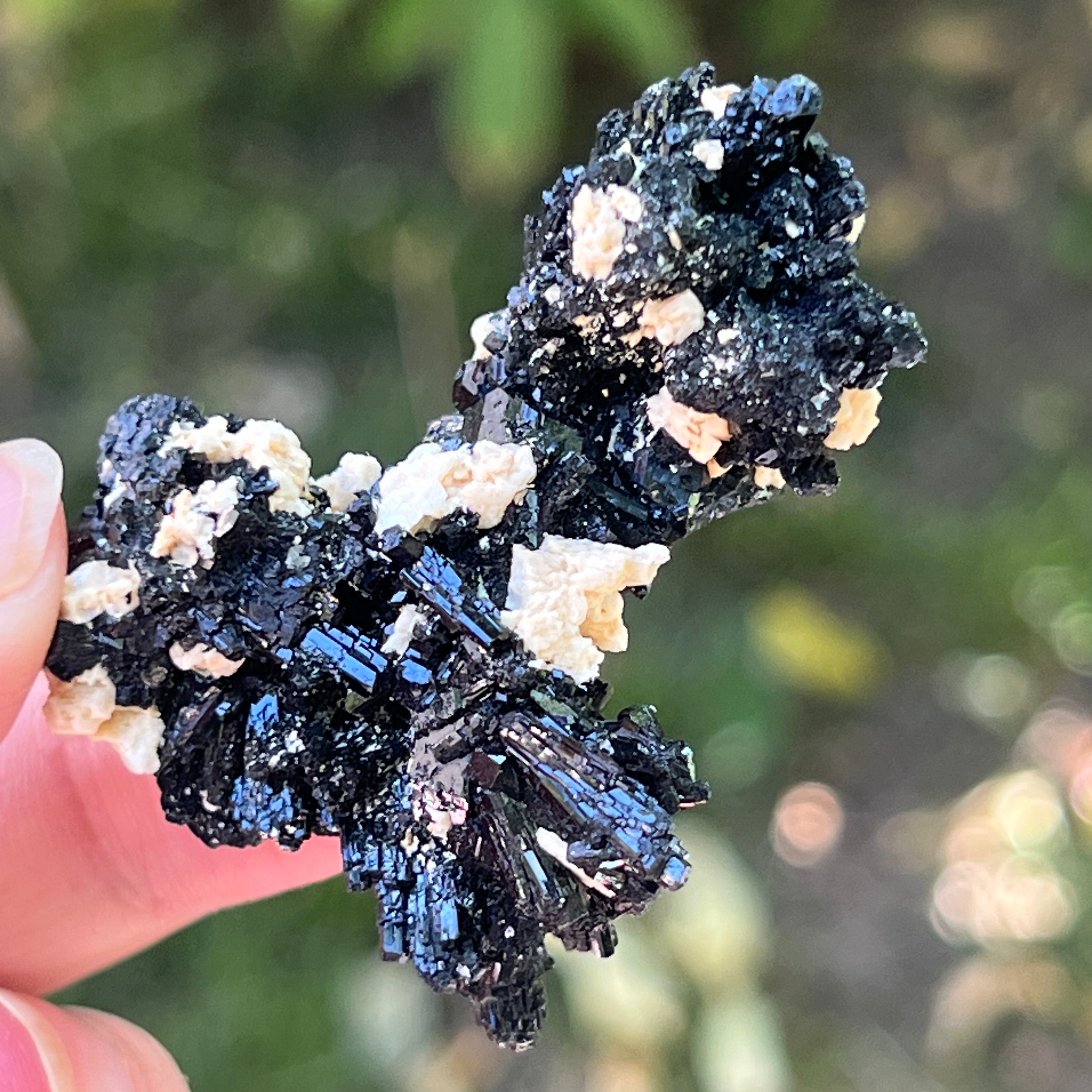 Cluster turmalina neagra model 18 din Erongo, Namibia