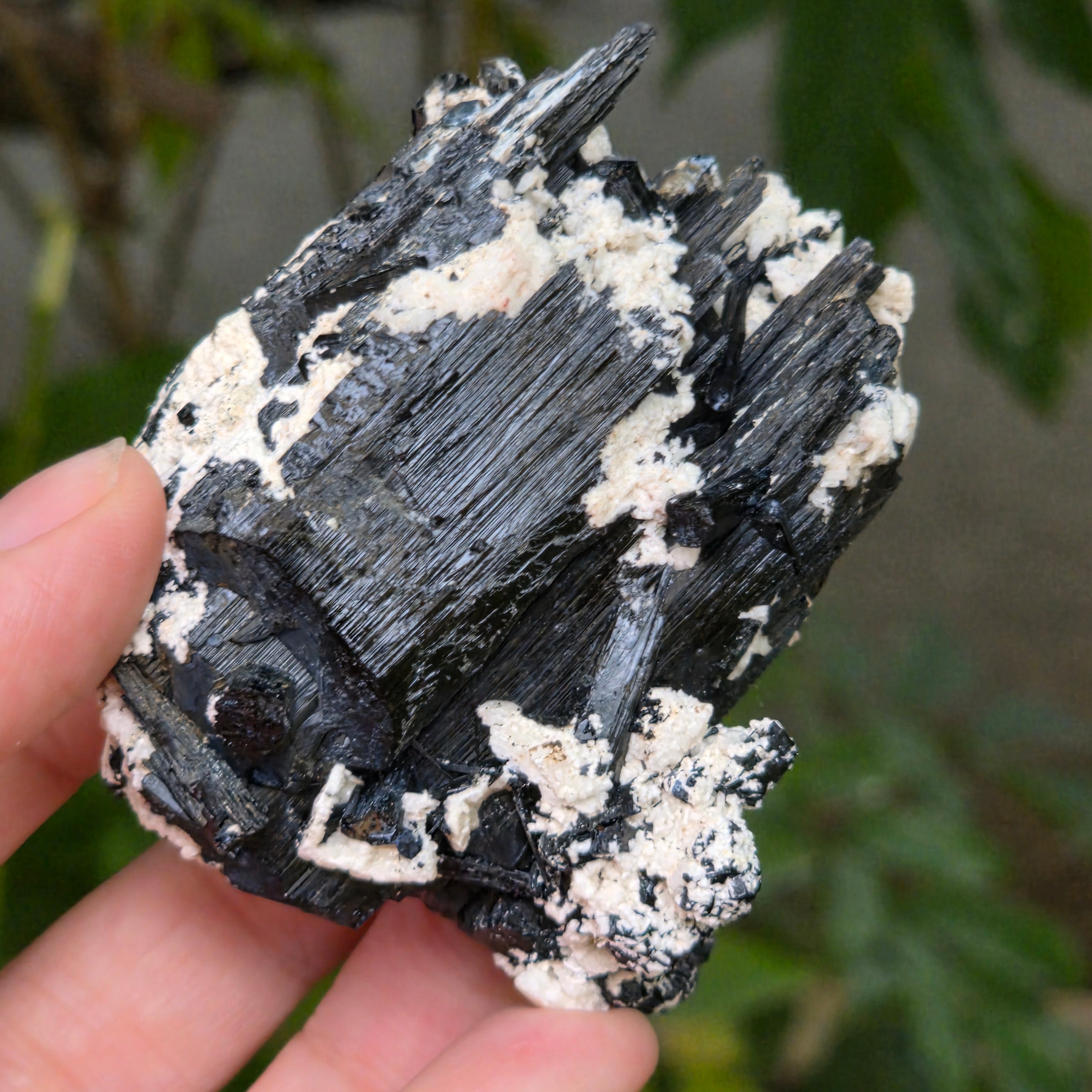 Cluster turmalina neagra model 22 din Erongo, Namibia