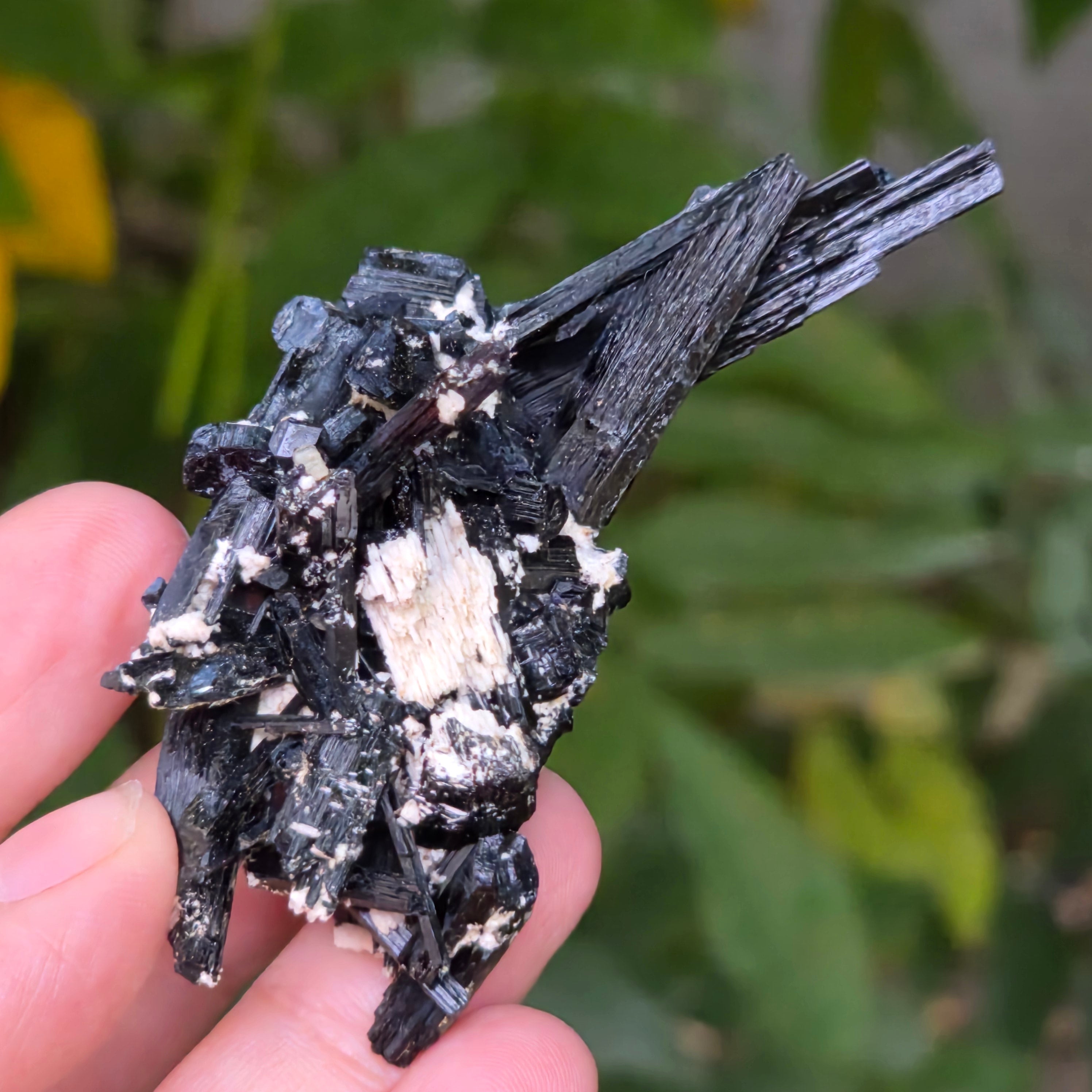 Cluster turmalina neagra model 25 din Erongo, Namibia