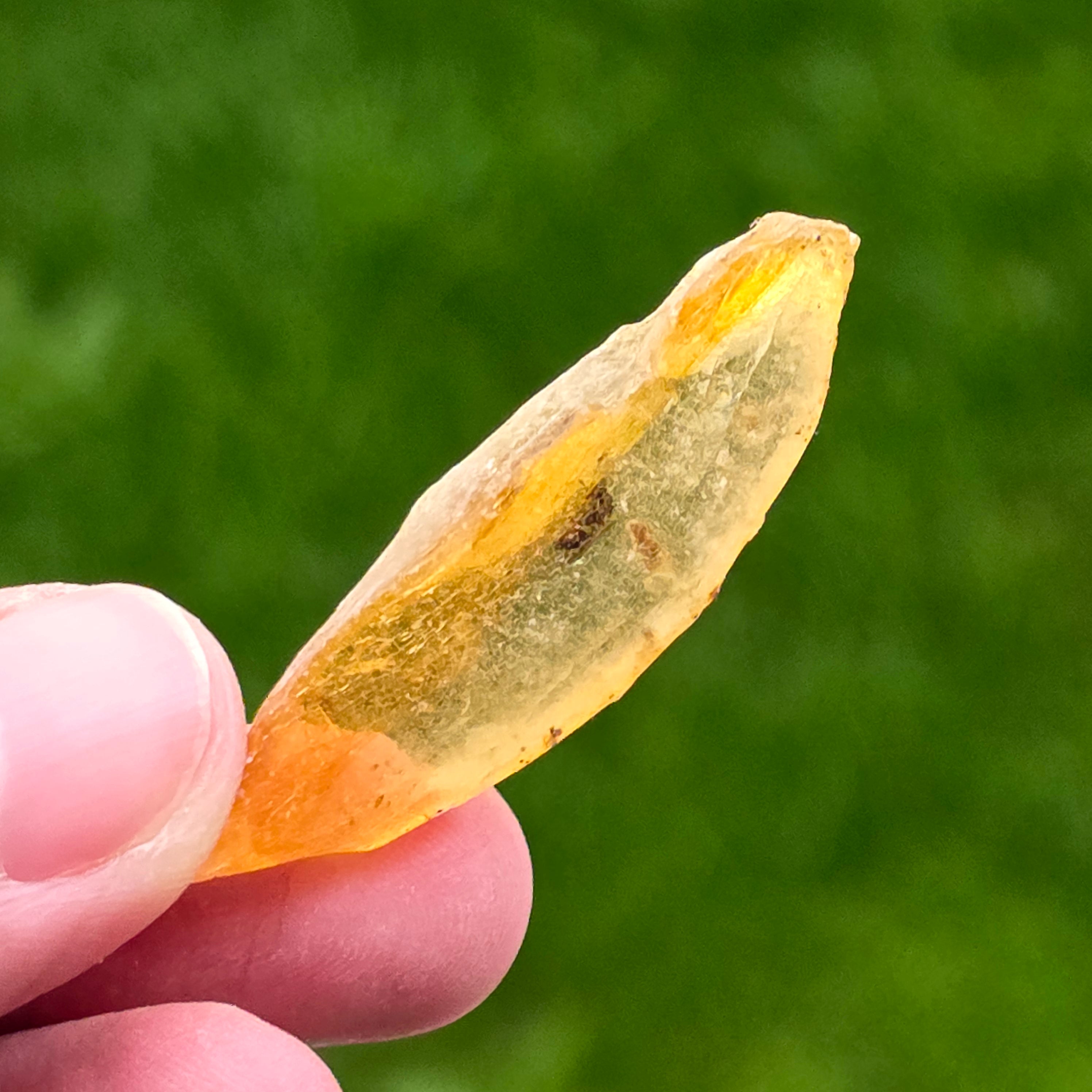 Copal (pre-chihlimbar), rasina subfosilă unicat | Model 2