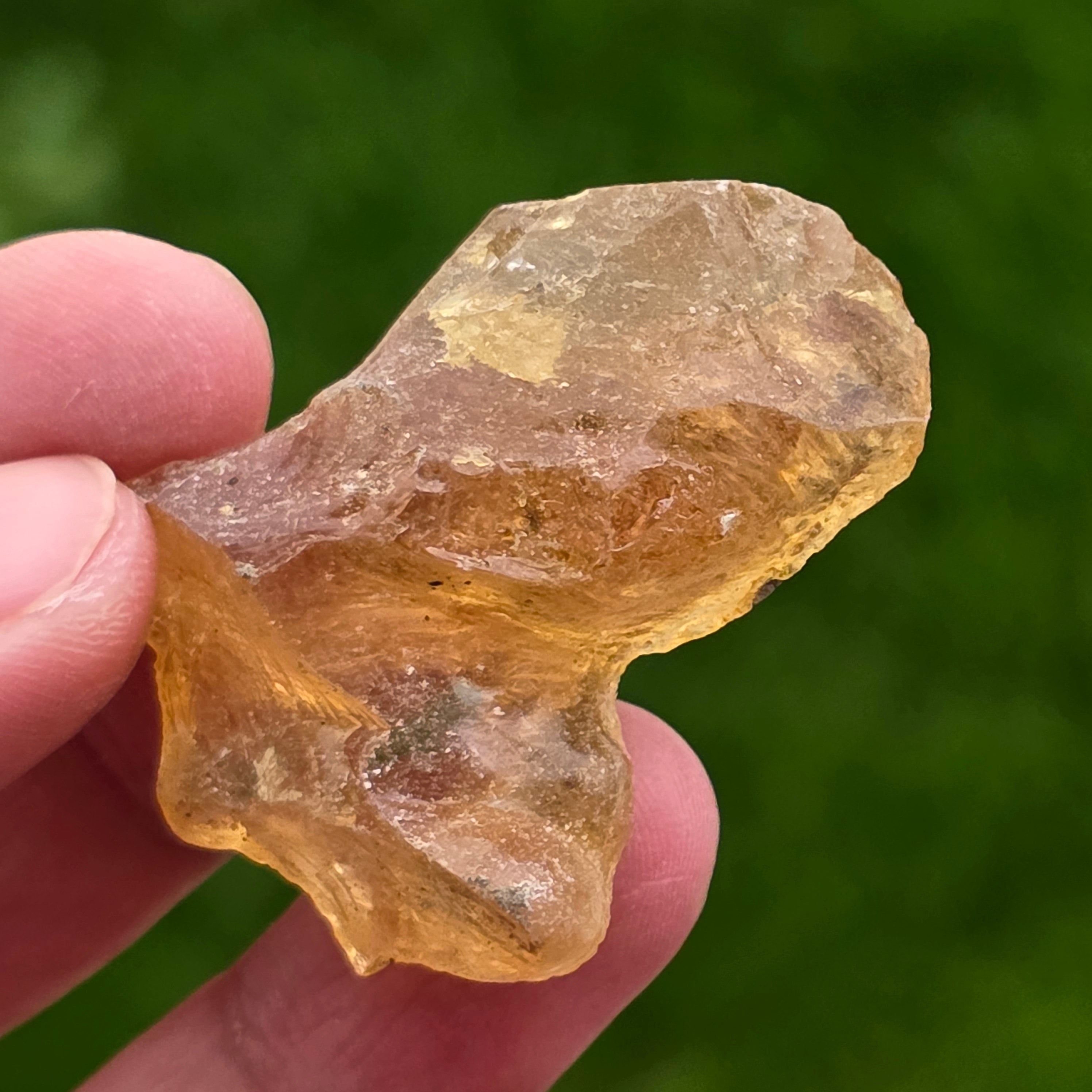 Copal (pre-chihlimbar), rasina subfosilă unicat | Model 3
