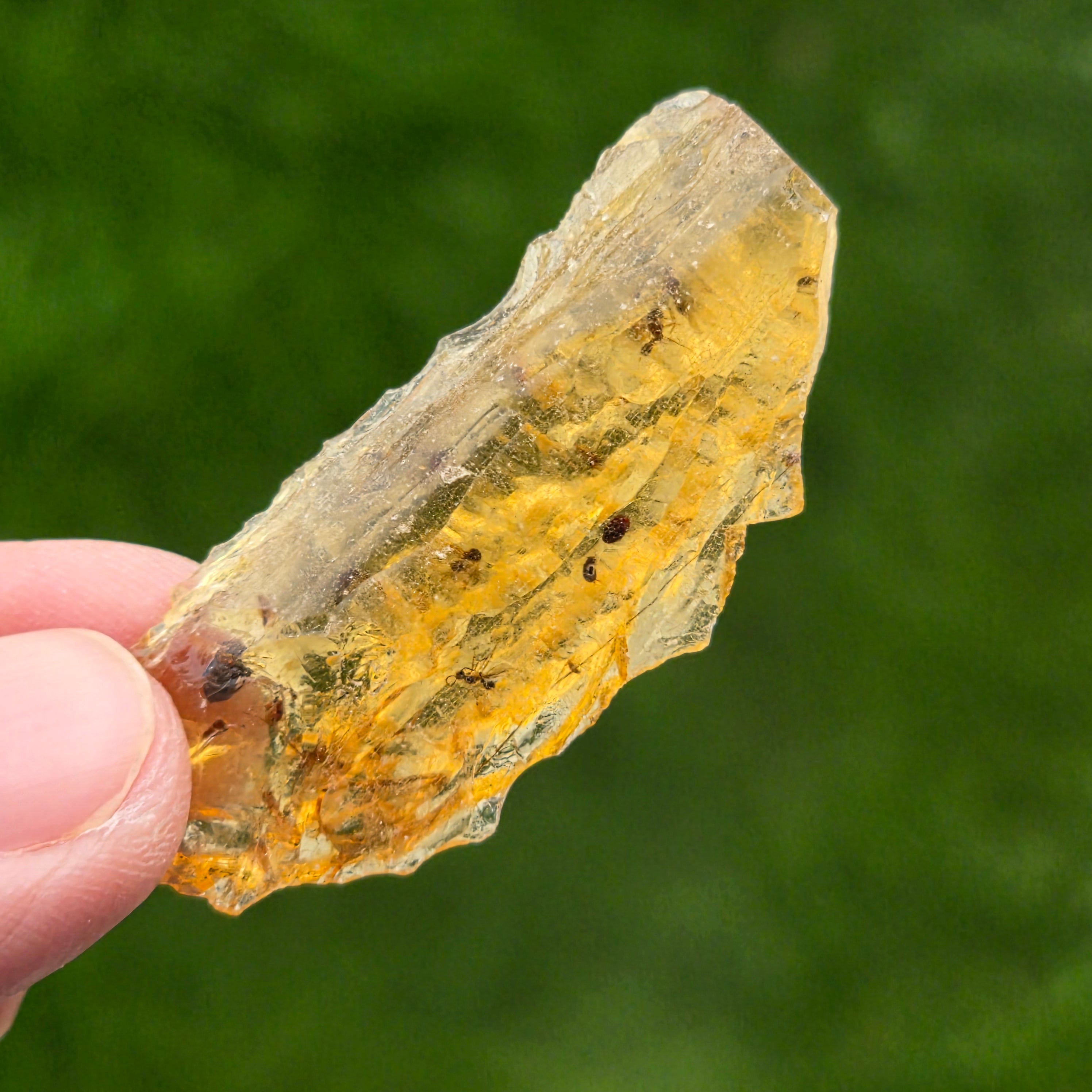 Copal (pre-chihlimbar), rasina subfosilă unicat | Model 4