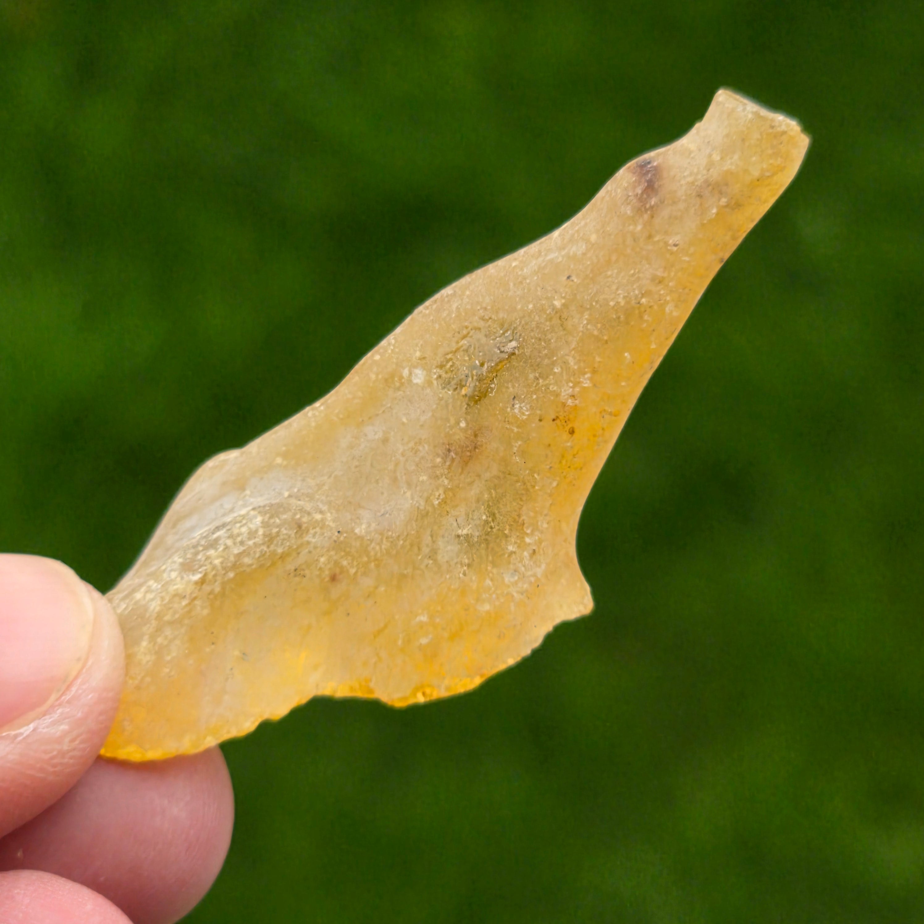 Copal (pre-chihlimbar), rasina subfosilă unicat | Model 6
