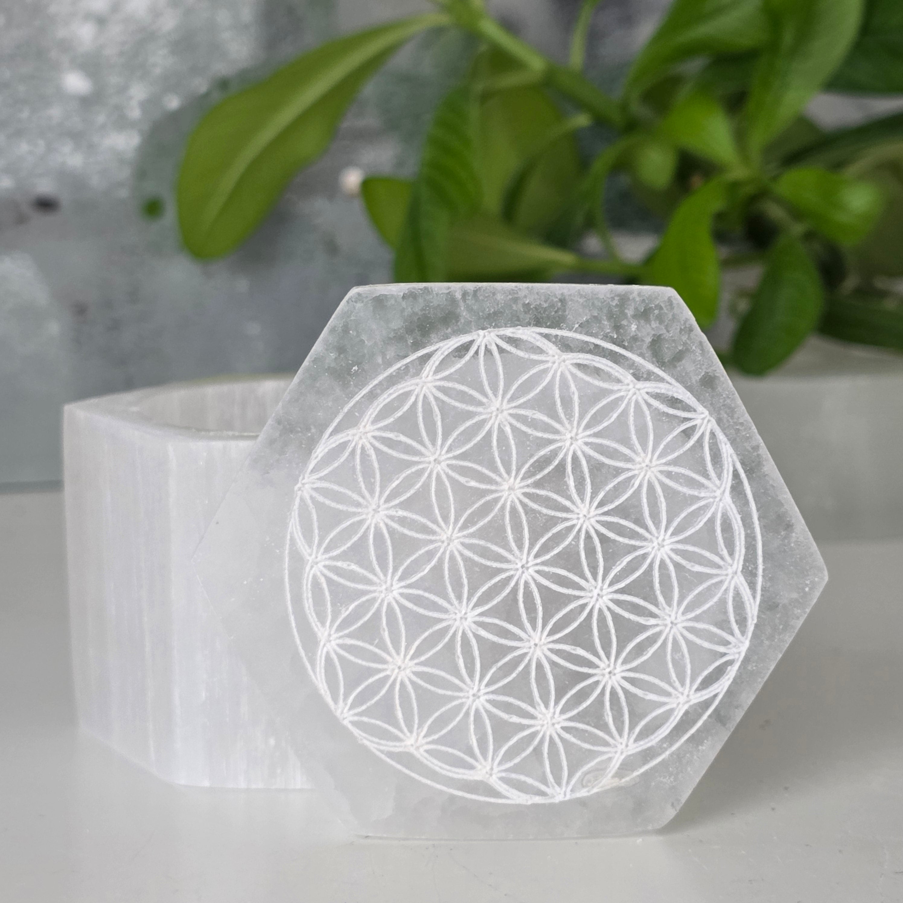 Cutie selenit | Hexagon Flower of life