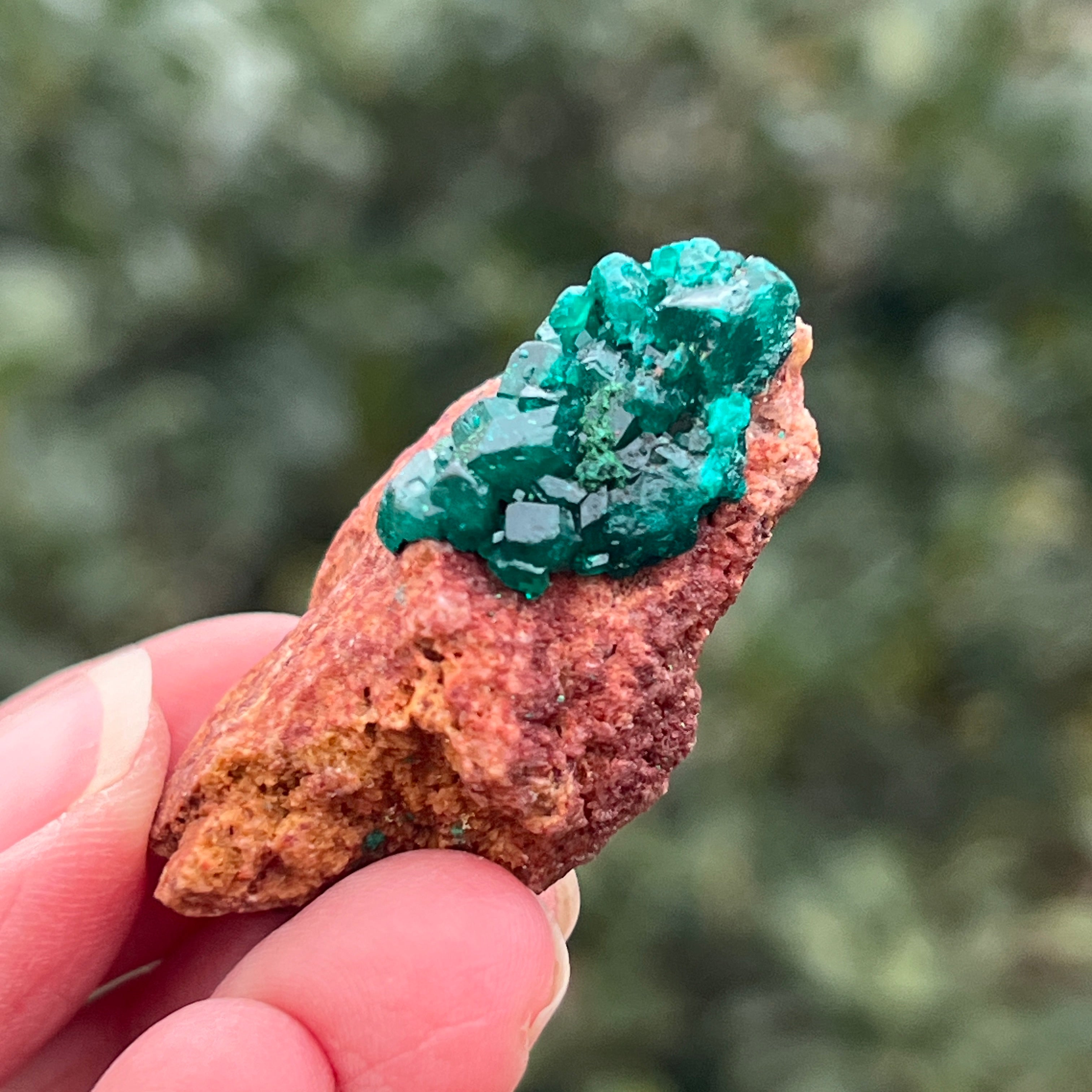 Dioptaz cluster din Congo model 31