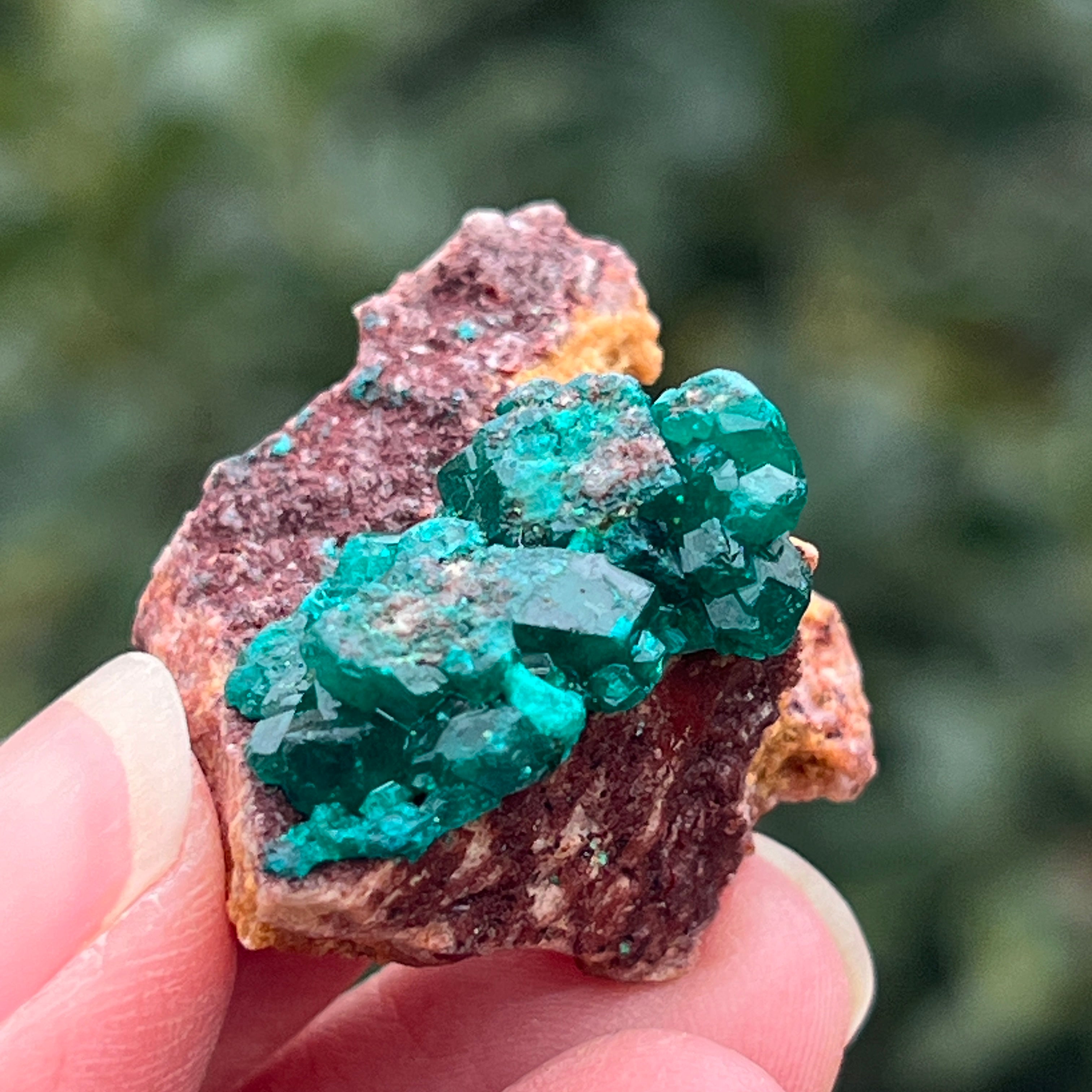 Dioptaz cluster din Congo model 40