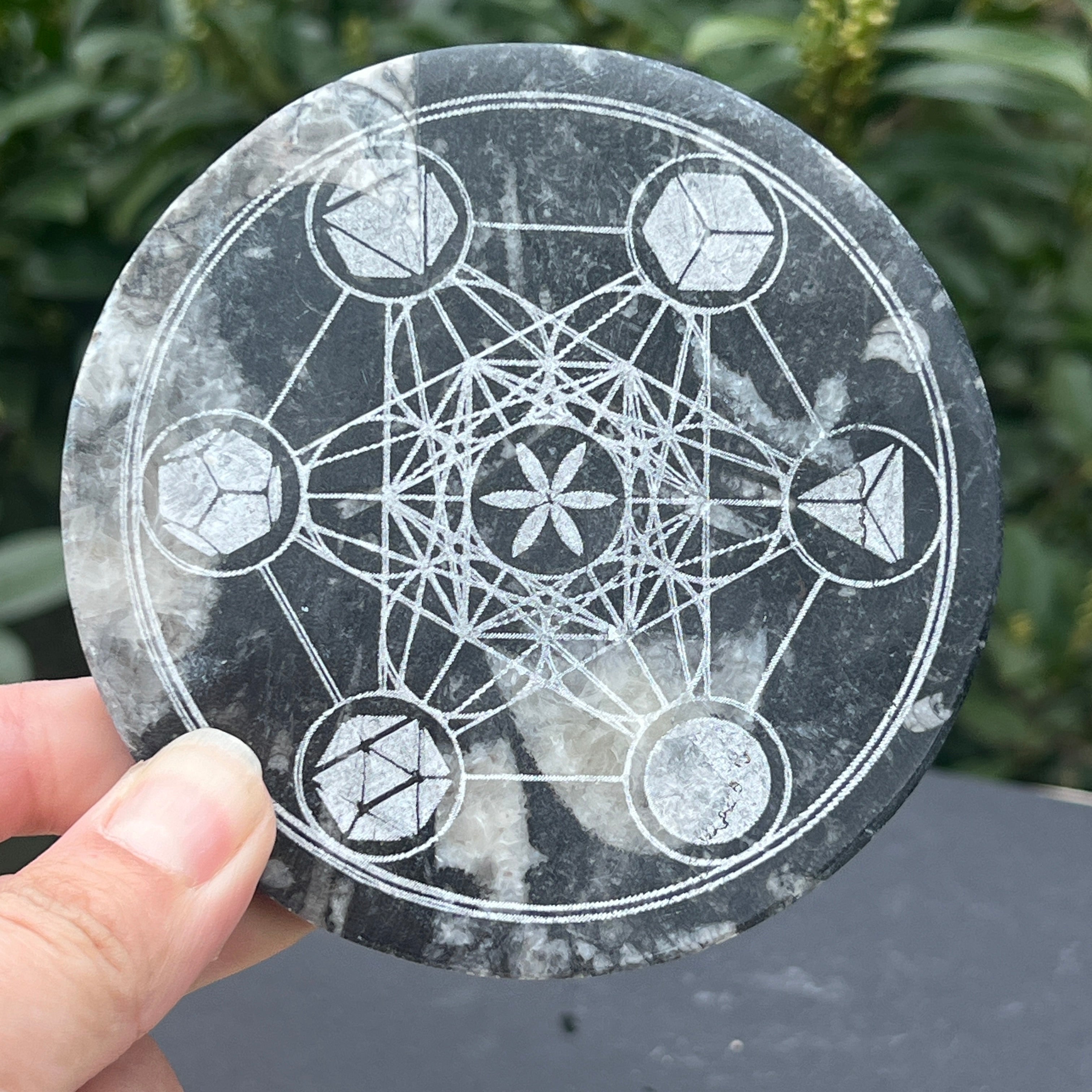 Disc Fosil Orthoceras forma Metatron