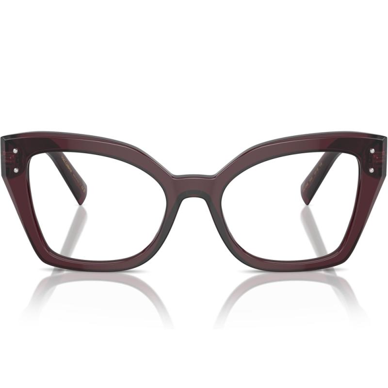 Dolce&Gabbana DG3386 3045 53