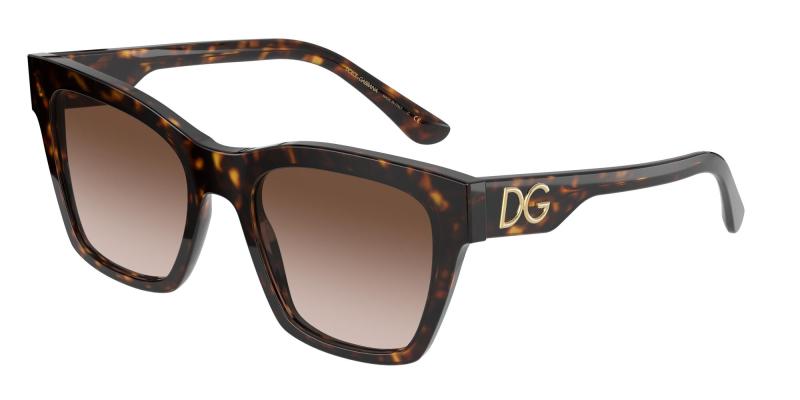 Dolce&Gabbana DG4384 502/13 53
