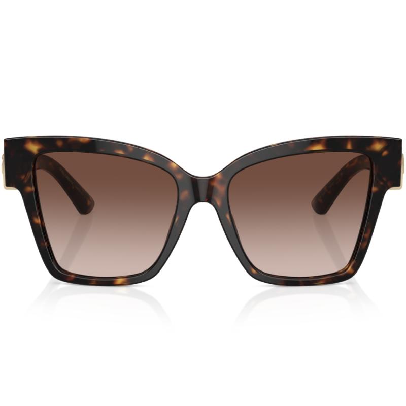 Dolce&Gabbana DG4470 502/13 54