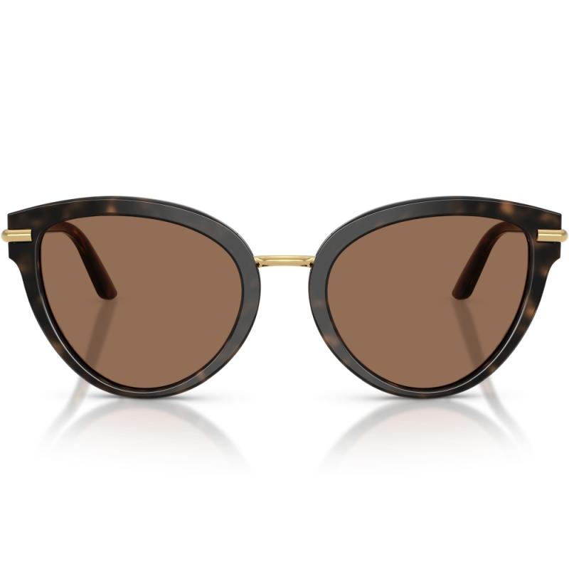 Dolce&Gabbana DG4492 321713 55