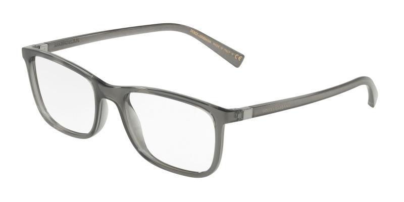 Dolce&Gabbana DG5027 3160 55
