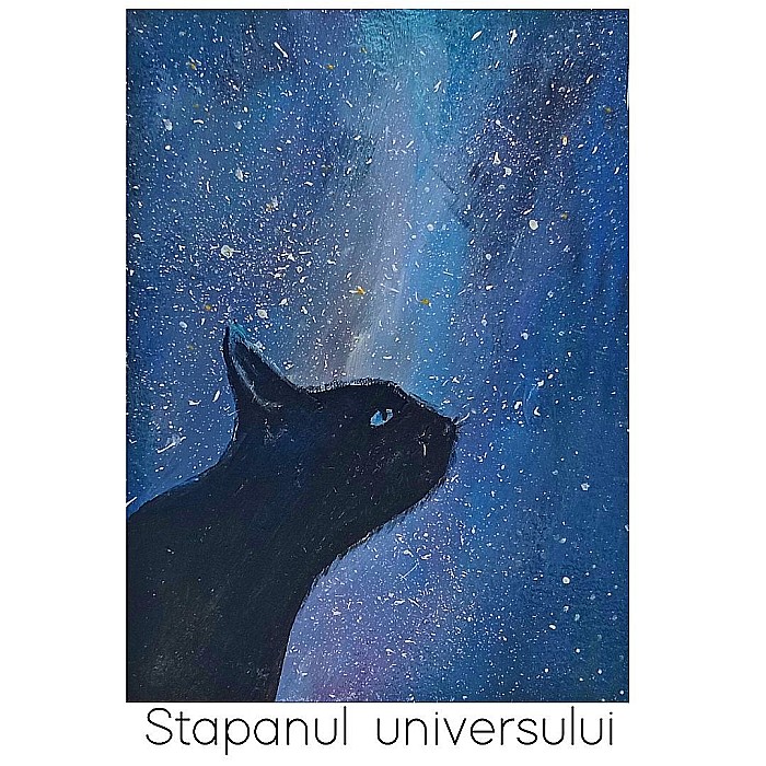 Felicitare Pictata Manual Stapanul Universului