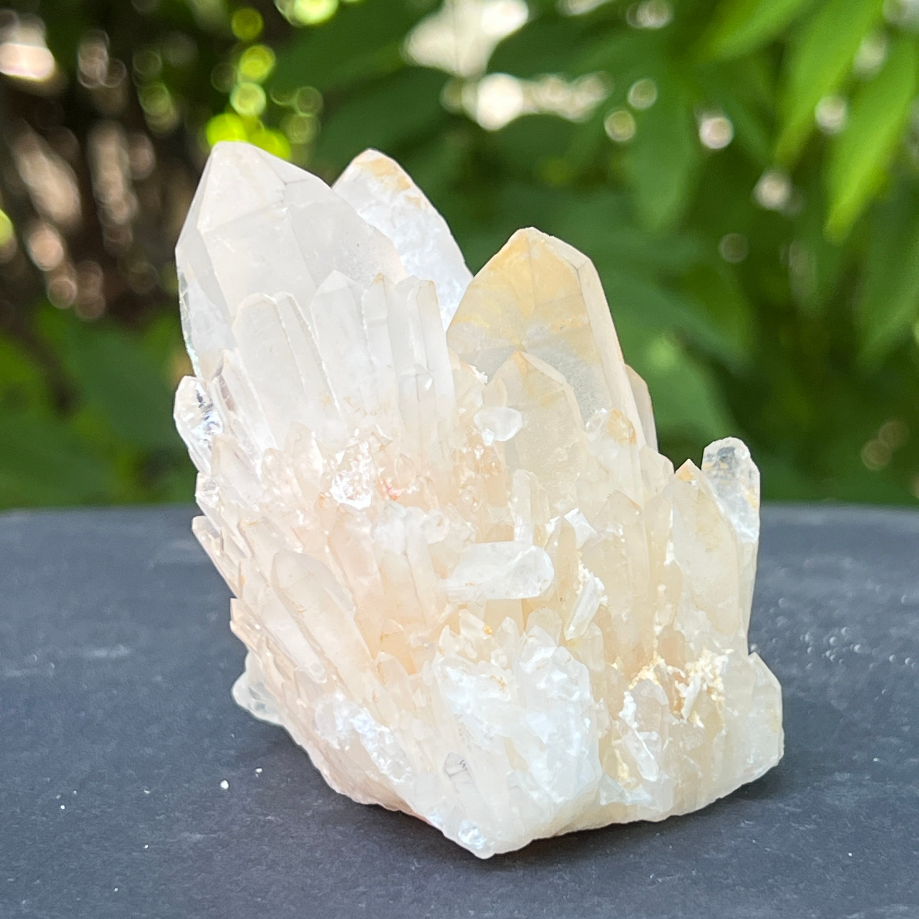 Floare de mina, cluster cuart ICY | Model 5