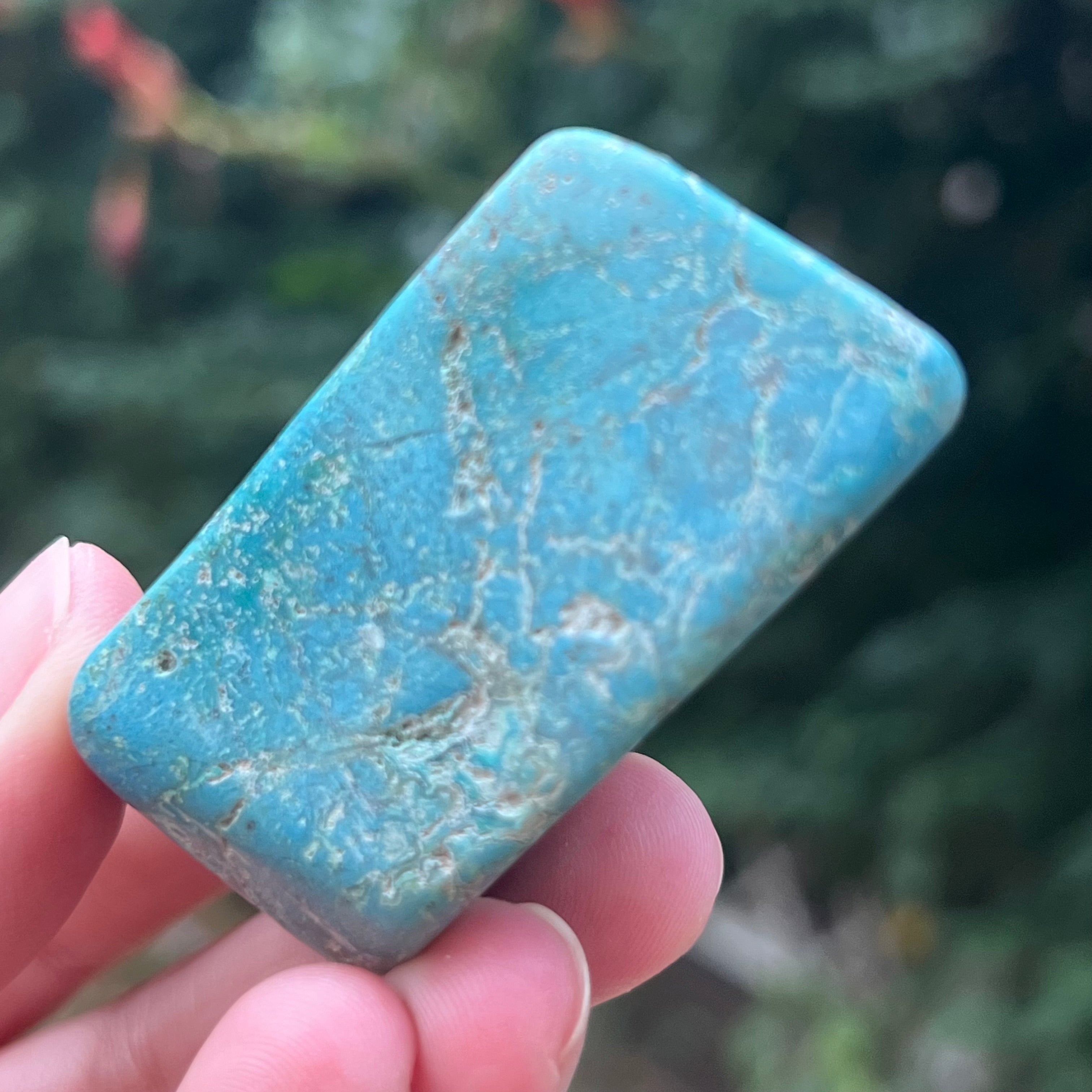 Forma libera/palmstone Shattuckite m2