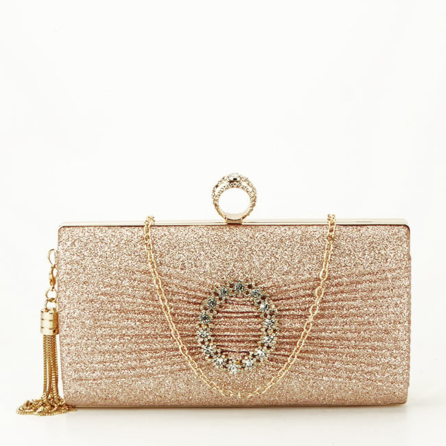 Geanta clutch sampaniu cu brosa BYH-8815 05